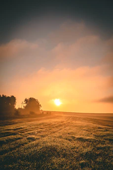 Sunrise over a solar panel field shimmering with dew in rural Pakistan