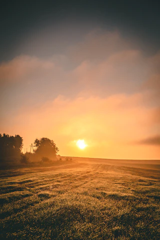 A serene agricultural field at sunrise with dewy crops and a farmer tending the land.