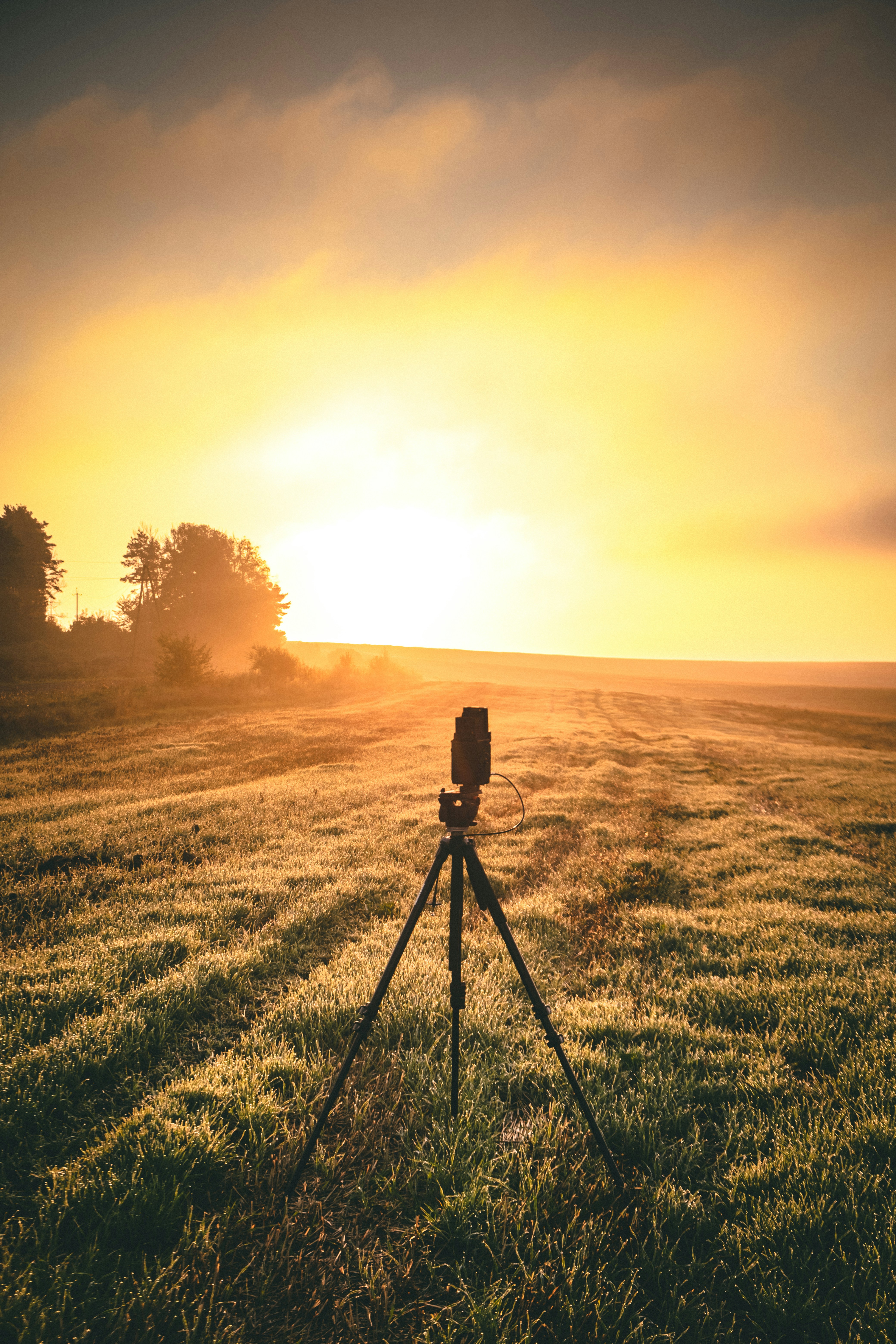 Photo by tetianapadurets