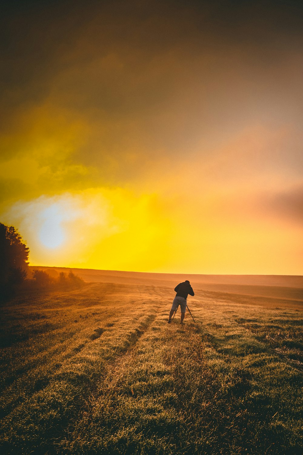 silhouette of person walking on seashore during sunset