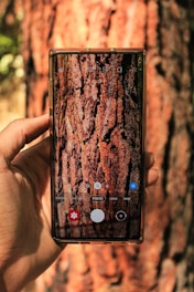 A smartphone screen showing the treekult app with a photo upload interface and Kult Coins tally.