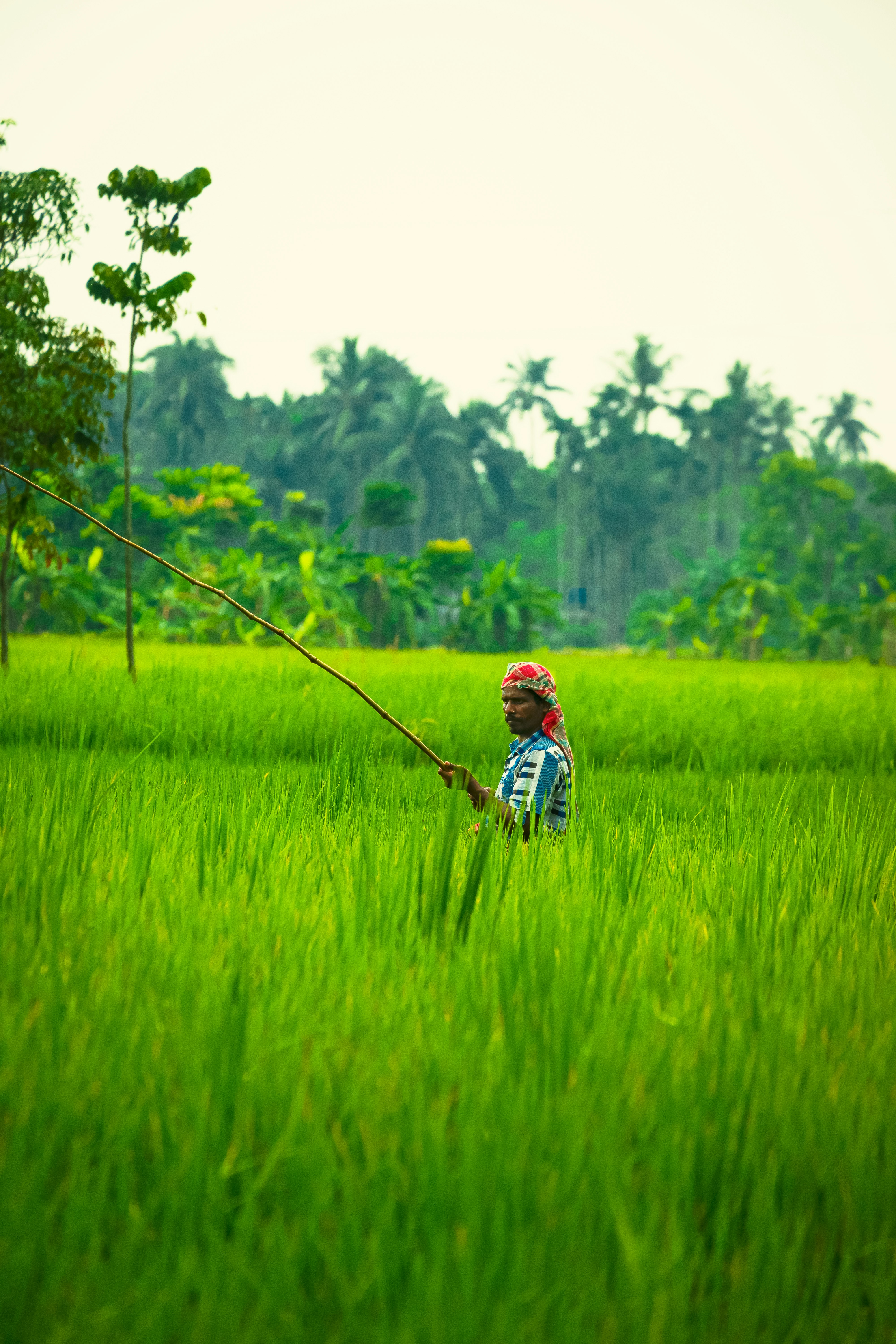 Photo by rupam118