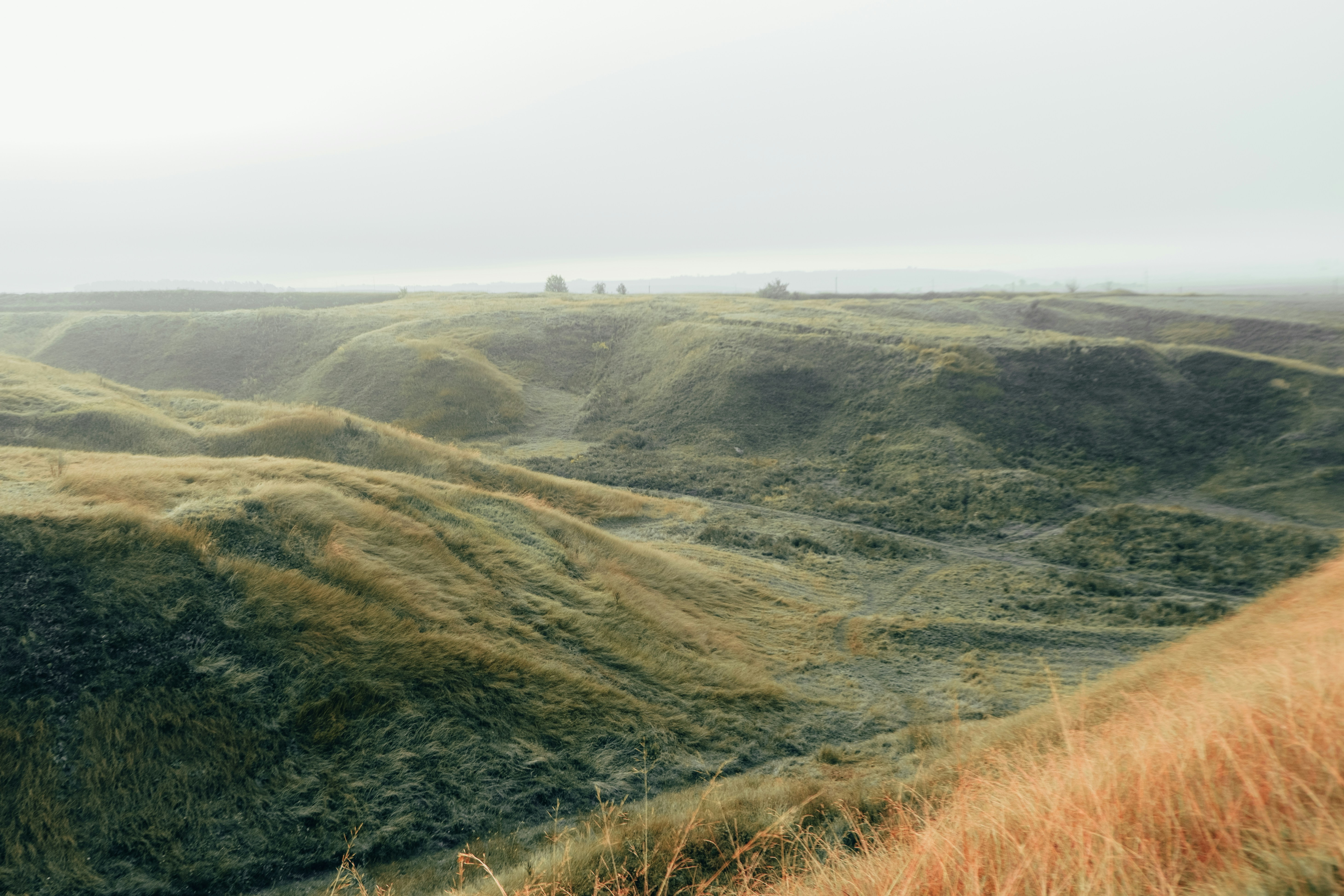 Photo by tetianapadurets