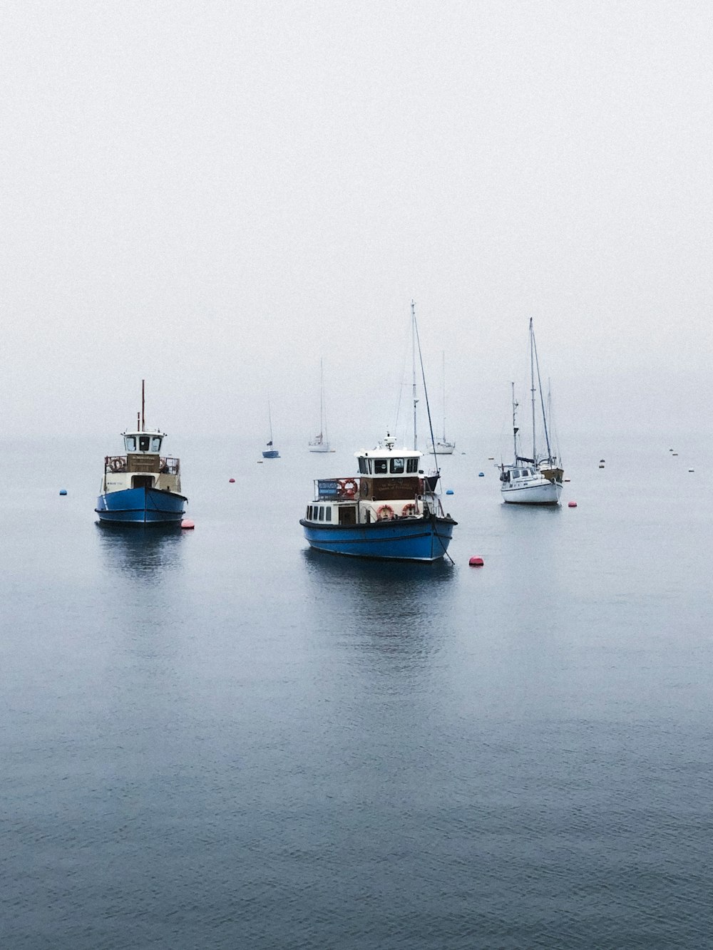 Barca blu e bianca sul mare durante il giorno