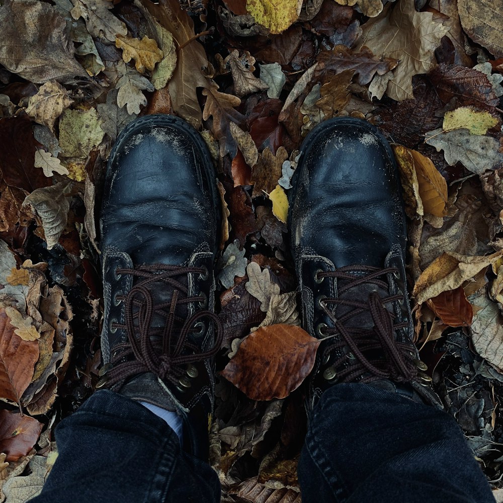 person wearing black leather shoes standing on dried leaves