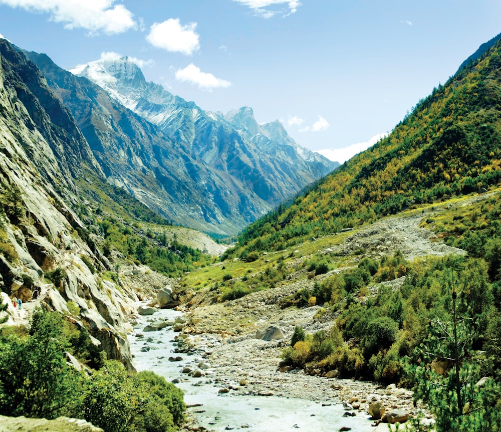 a river running through a lush green valley