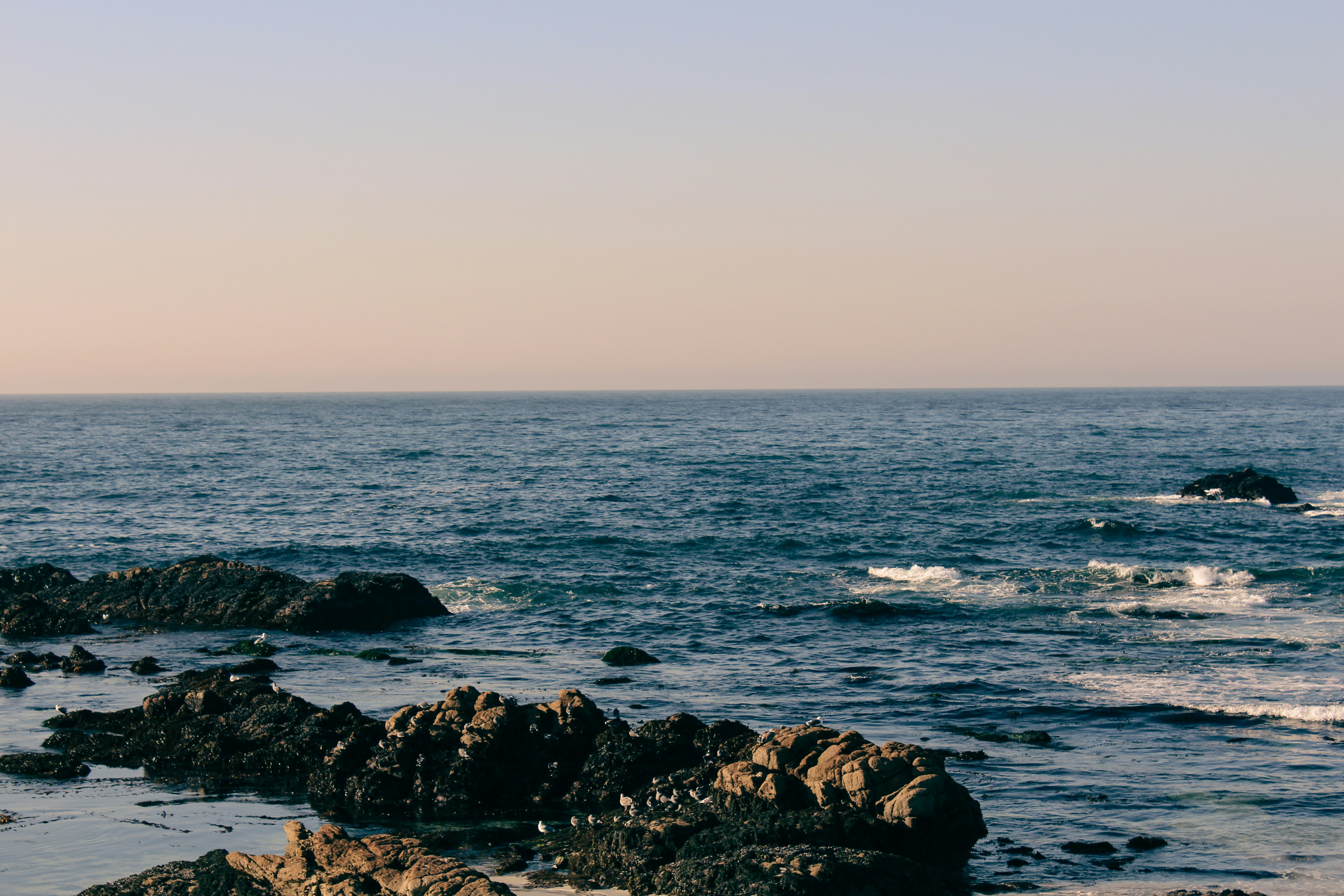 Photo by harpandbowl