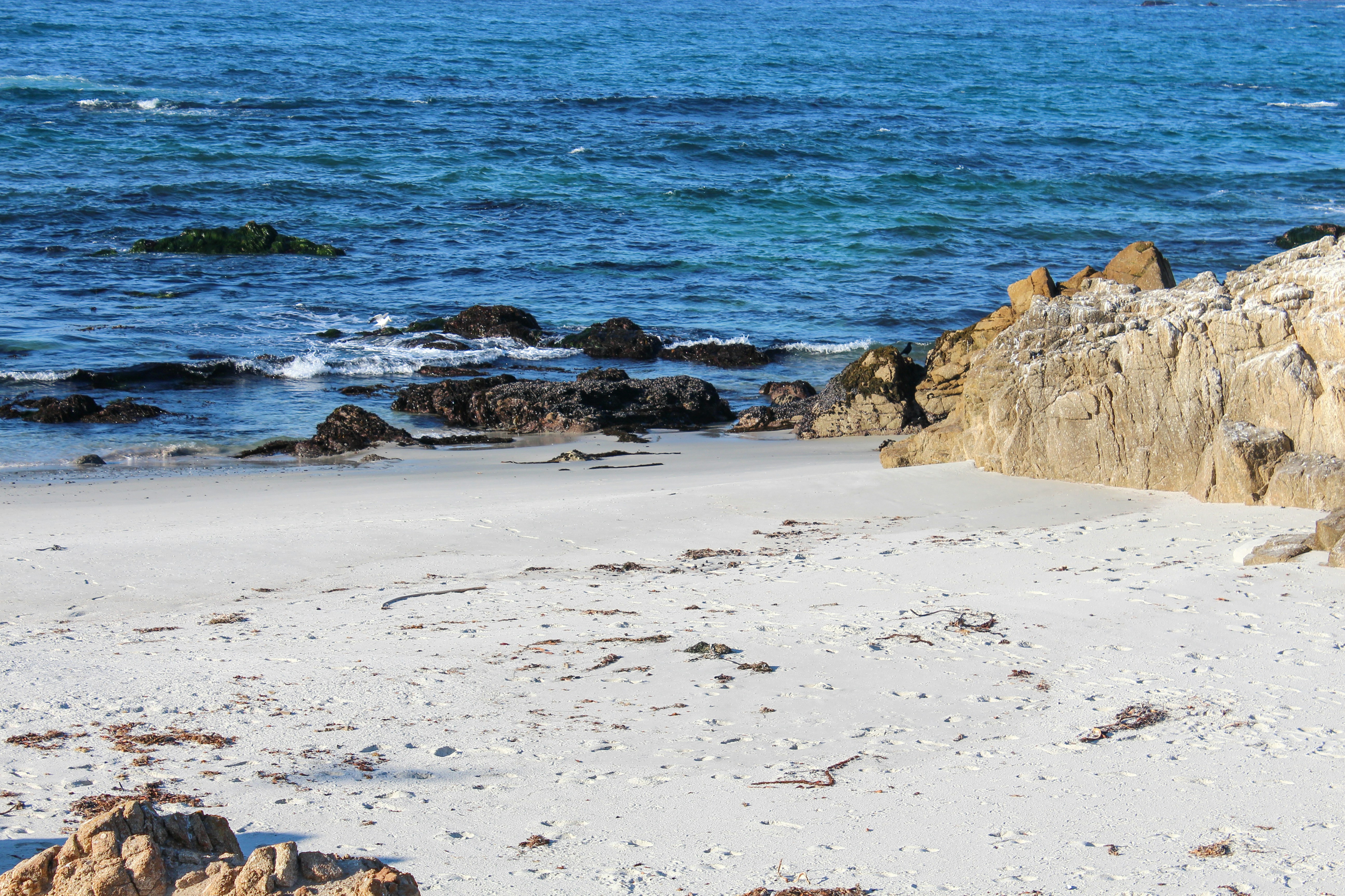 Photo by harpandbowl