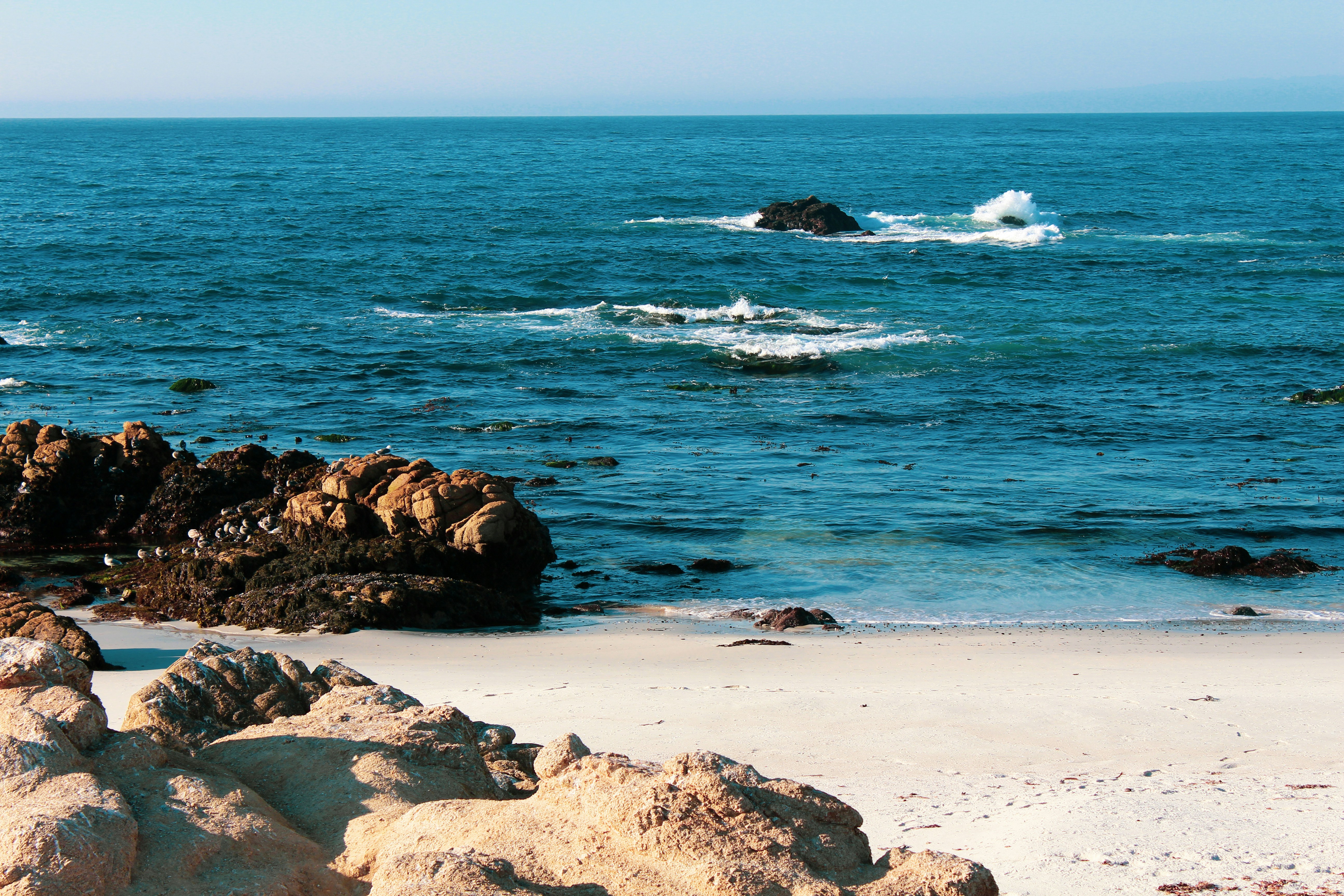 Photo by harpandbowl