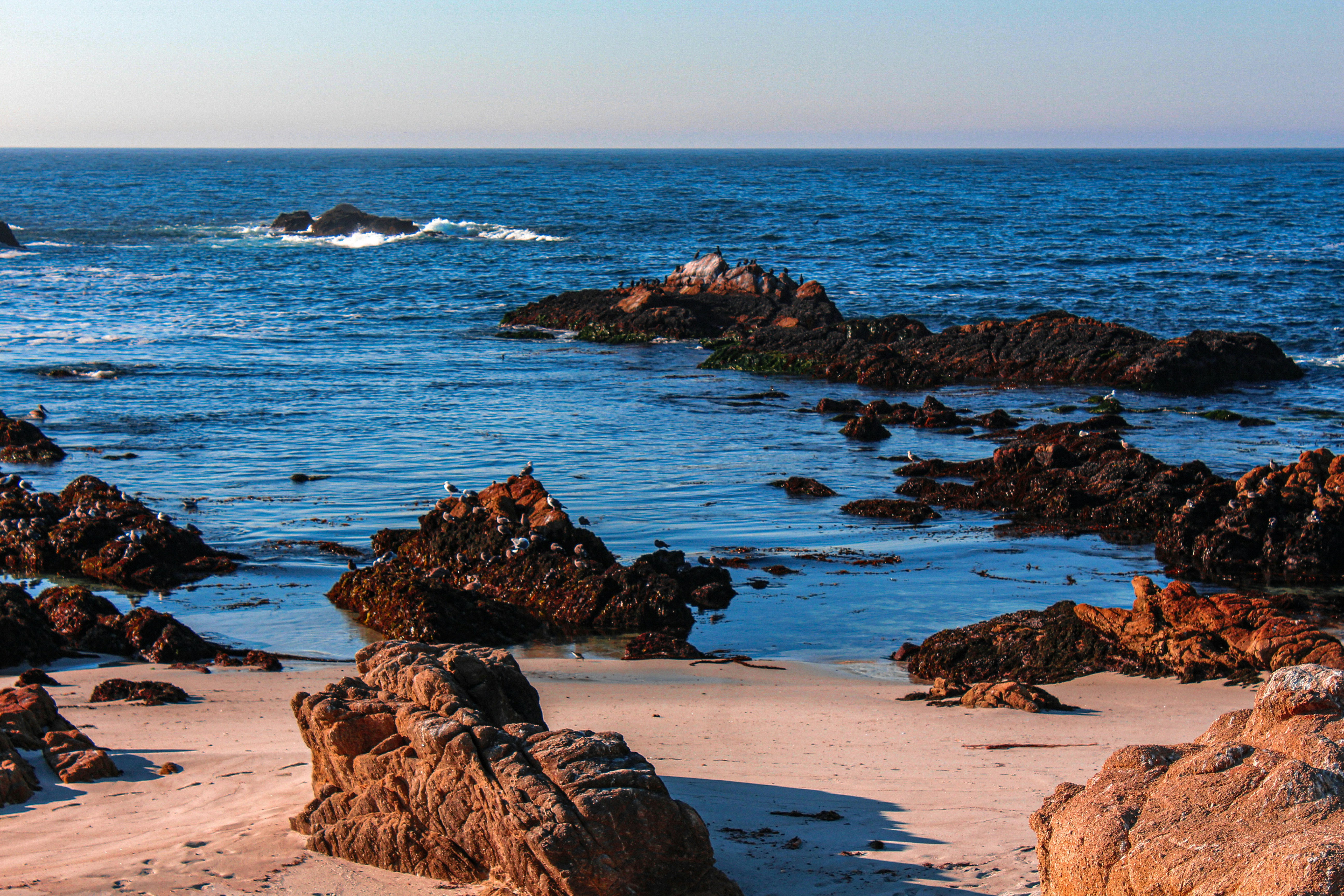 Photo by harpandbowl