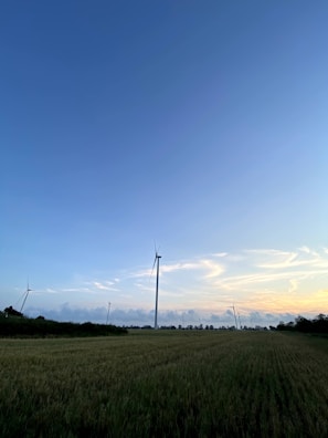 Wind turbines are situated in an expansive open field under a vast blue sky. The horizon is marked with blurred trees and bushes, creating a pastoral and serene scene. The clouds in the sky are sparse, with the sun casting a soft light, indicating either early morning or late evening.