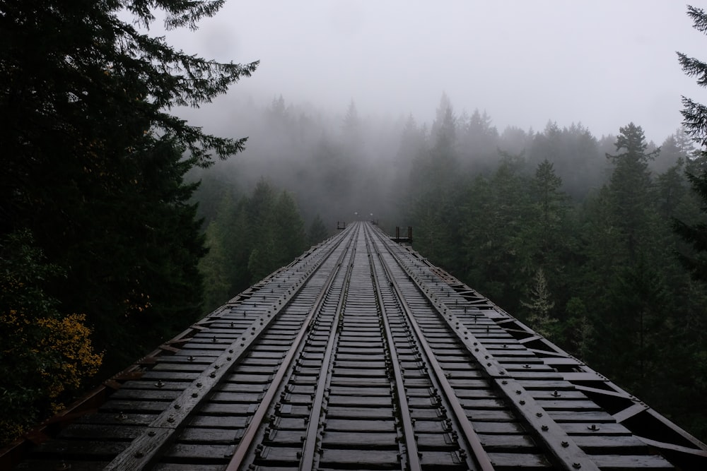 black train rail near green trees