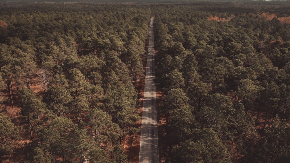 aerial view of green trees during daytime