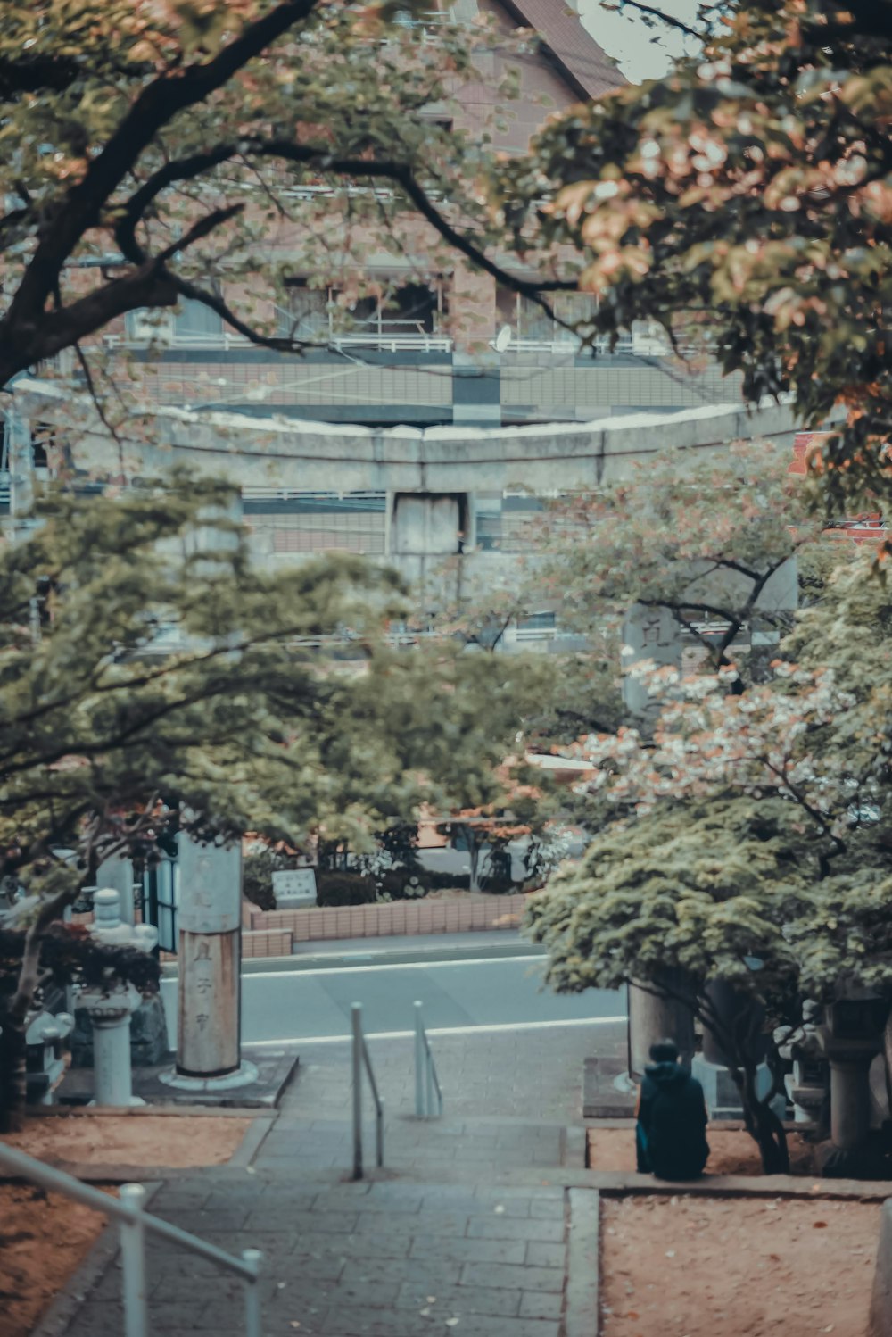 green and brown trees near white concrete building during daytime