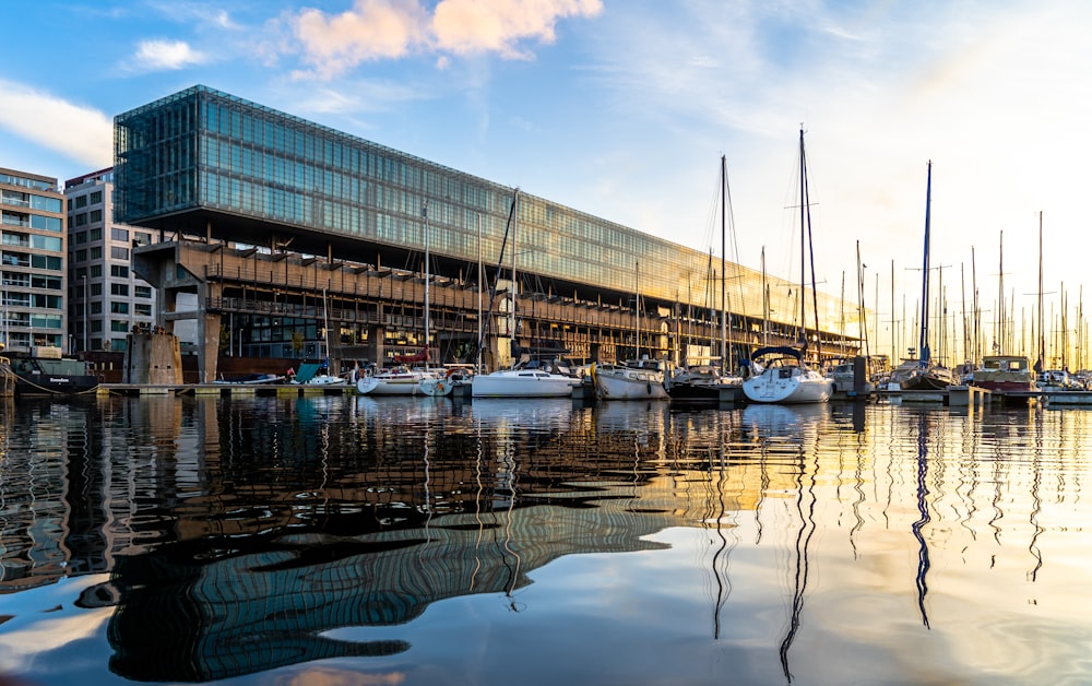 weißes und blaues Boot tagsüber auf dem Wasser in der Nähe von Green Building