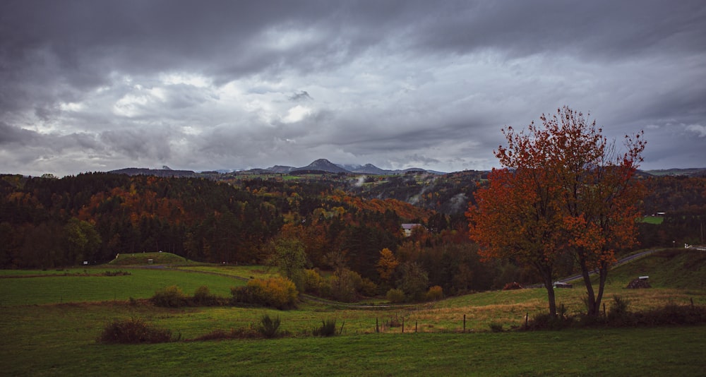 green grass field near brown trees and mountains under cloudy sky during daytime