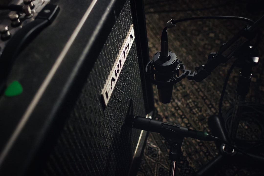 black and gray marshall guitar amplifier, Live off the rug.