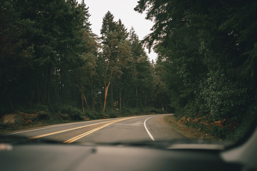 gray concrete road between green trees during daytime