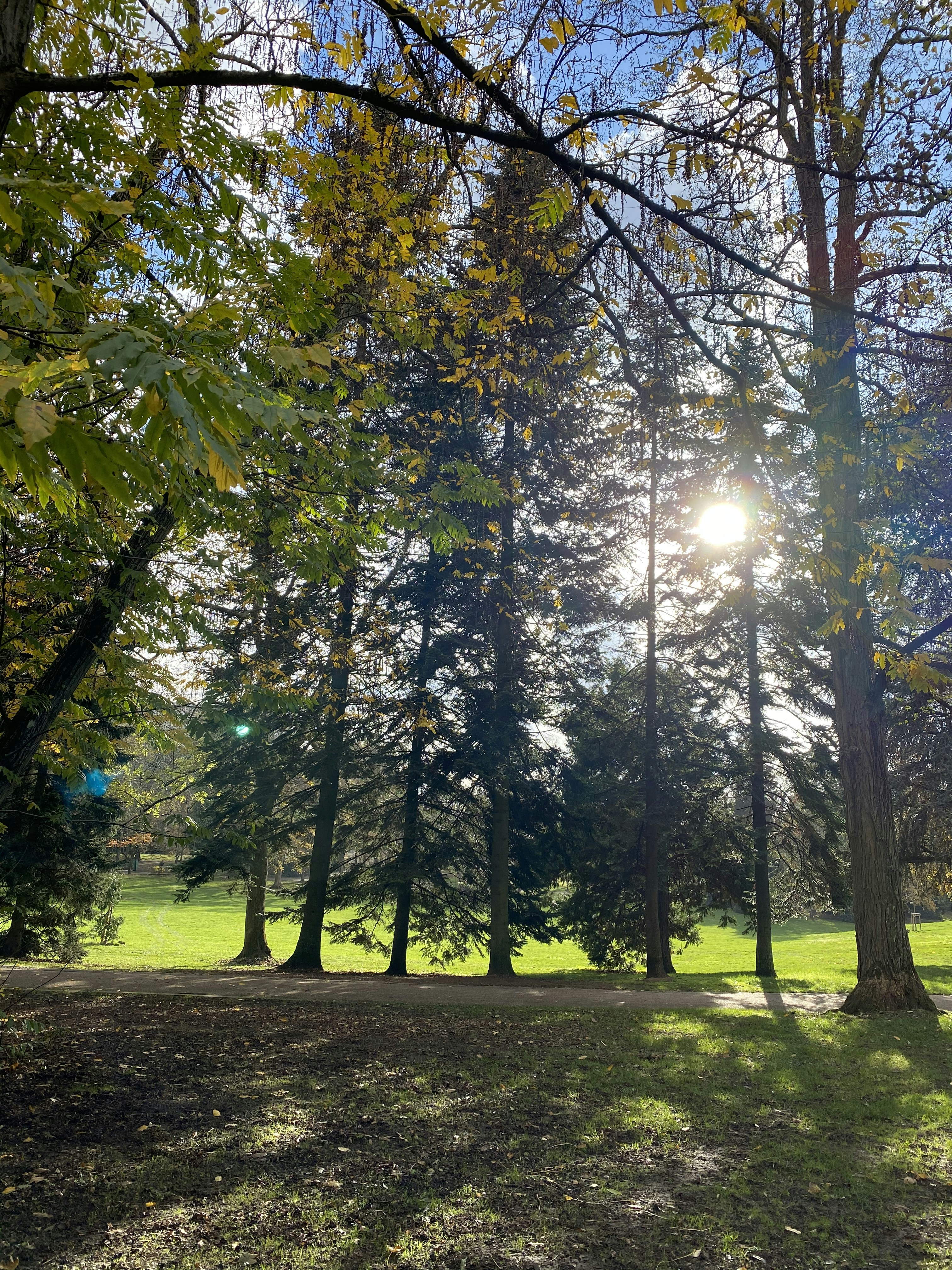 Photo by feliciafelicia