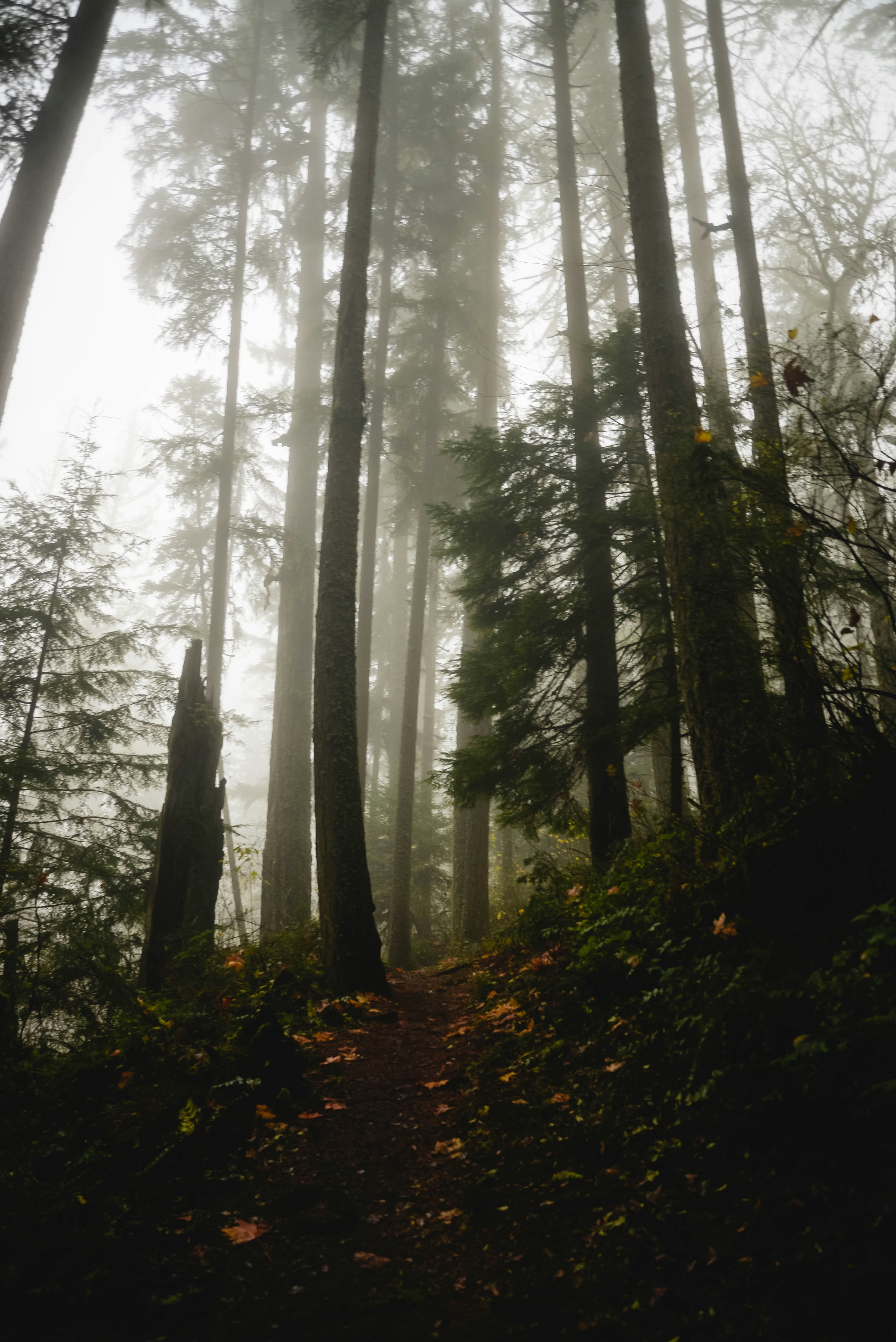 Photo by lorencutler