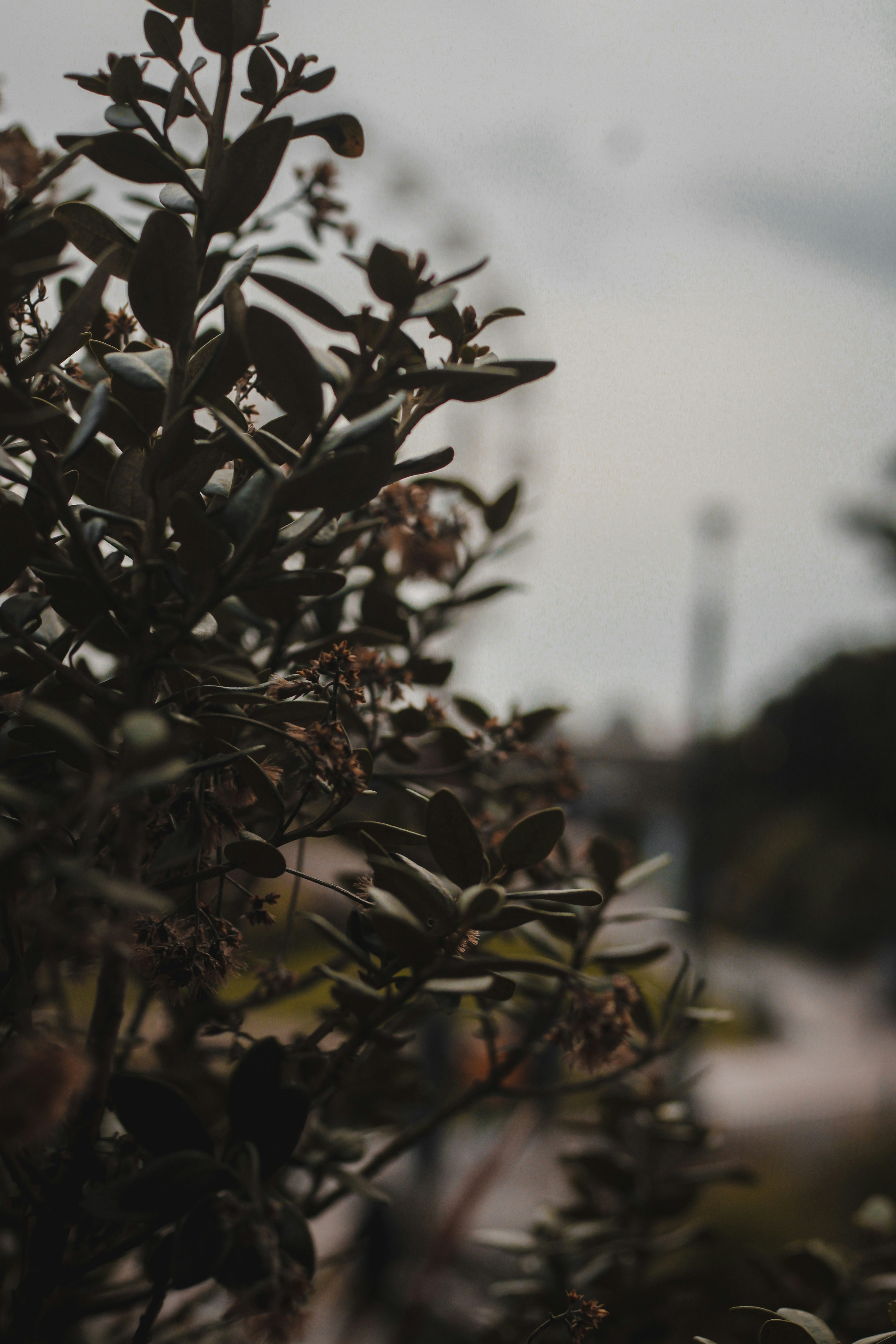 Photo by puregraphics