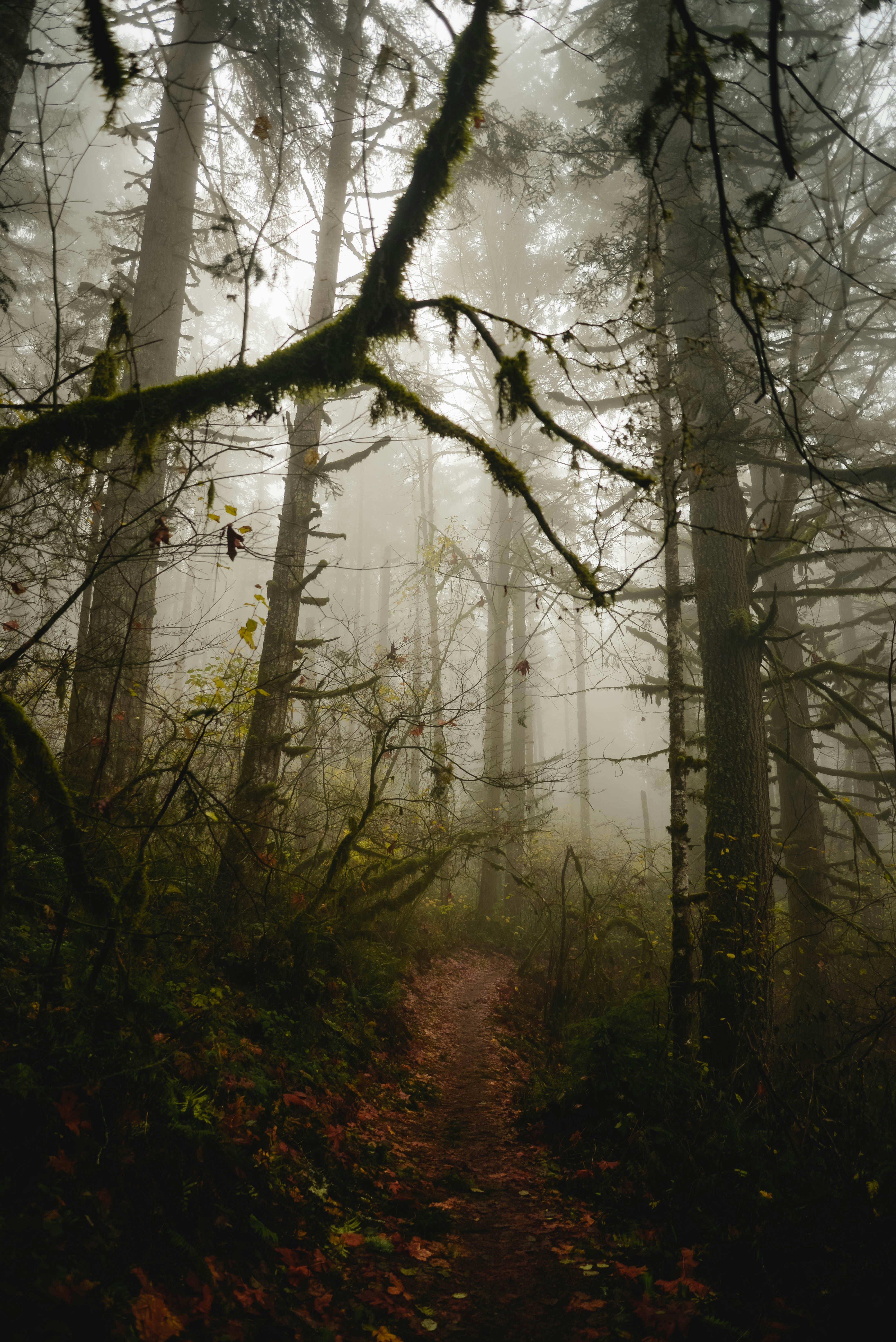 Photo by lorencutler