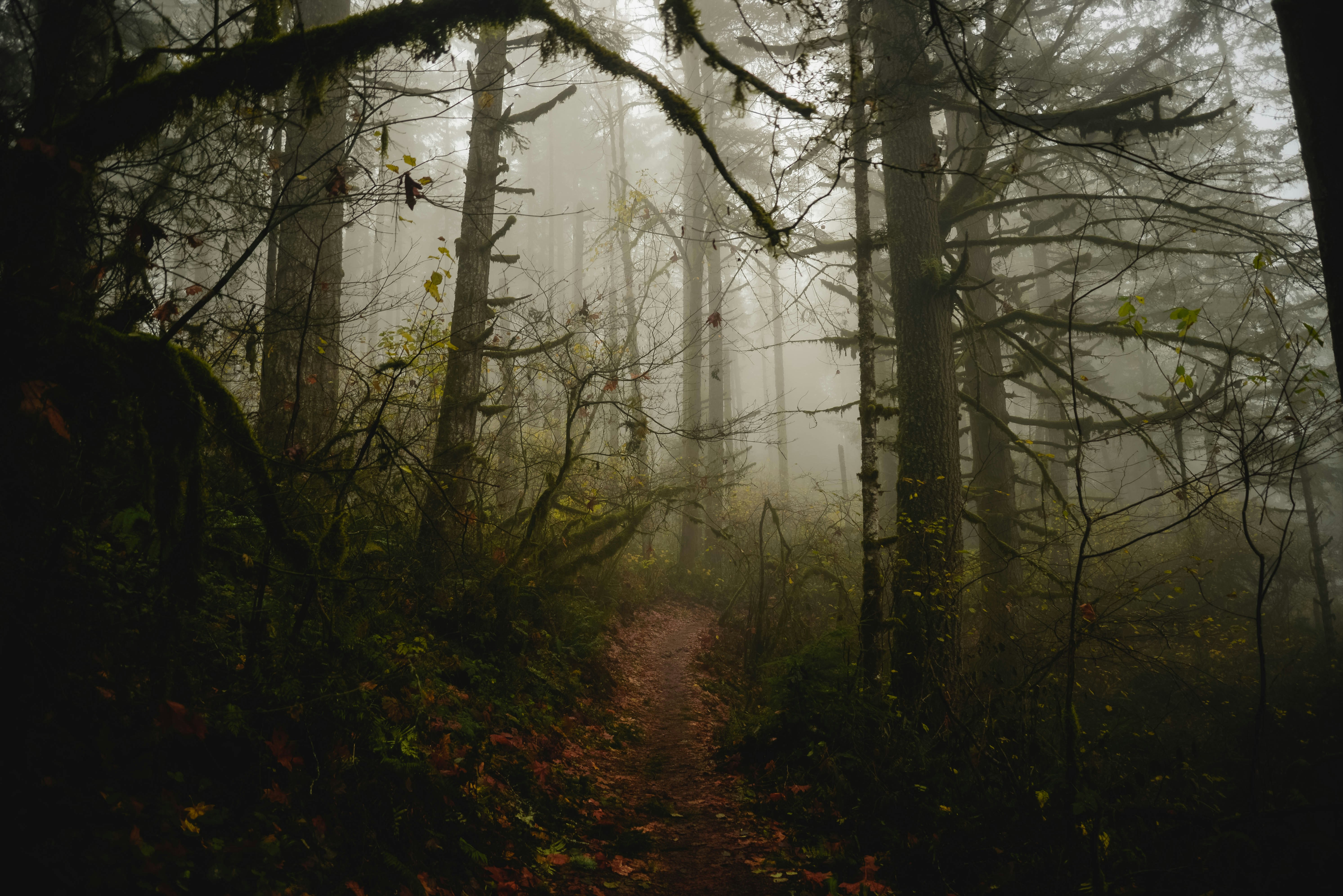 Photo by lorencutler