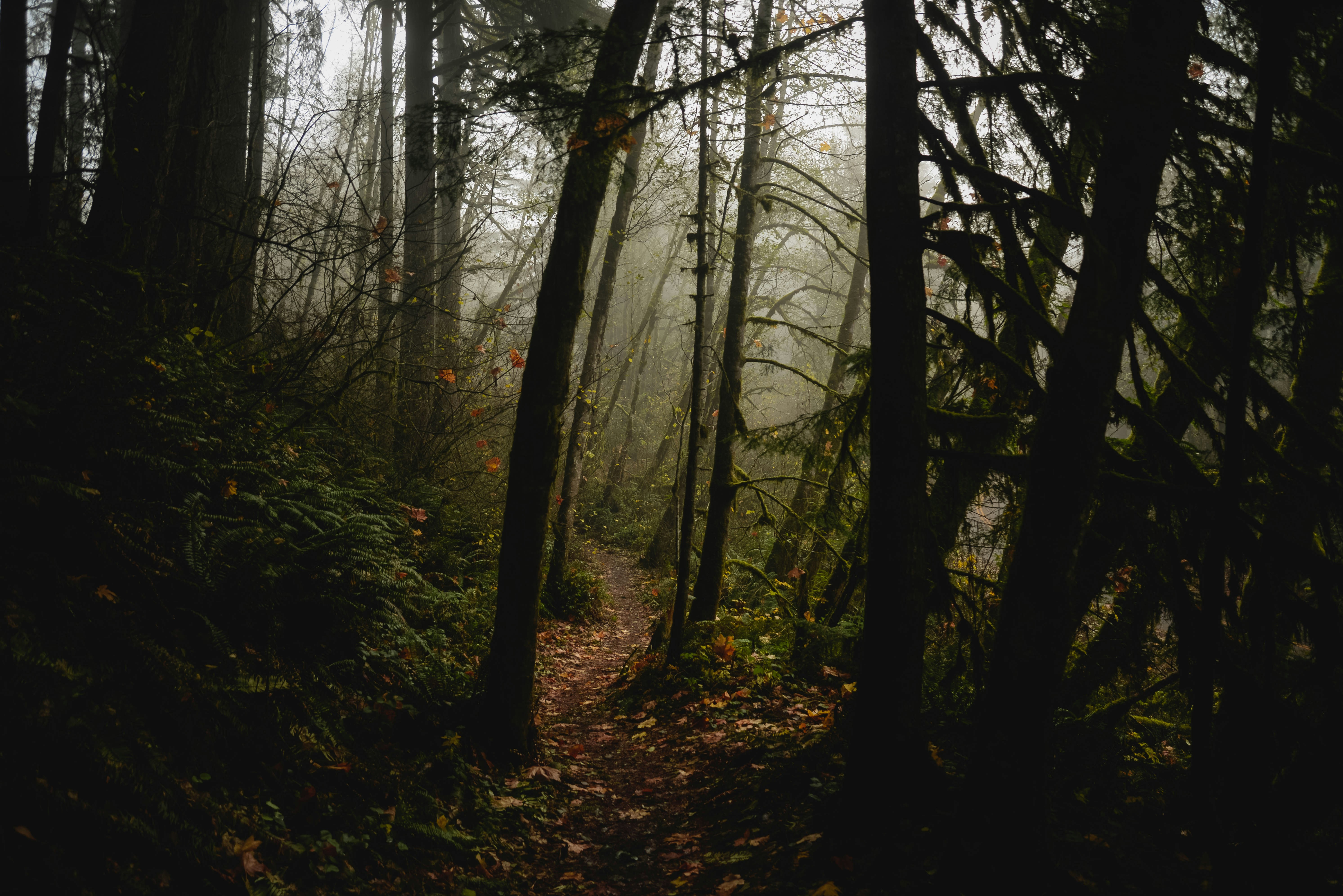 Photo by lorencutler