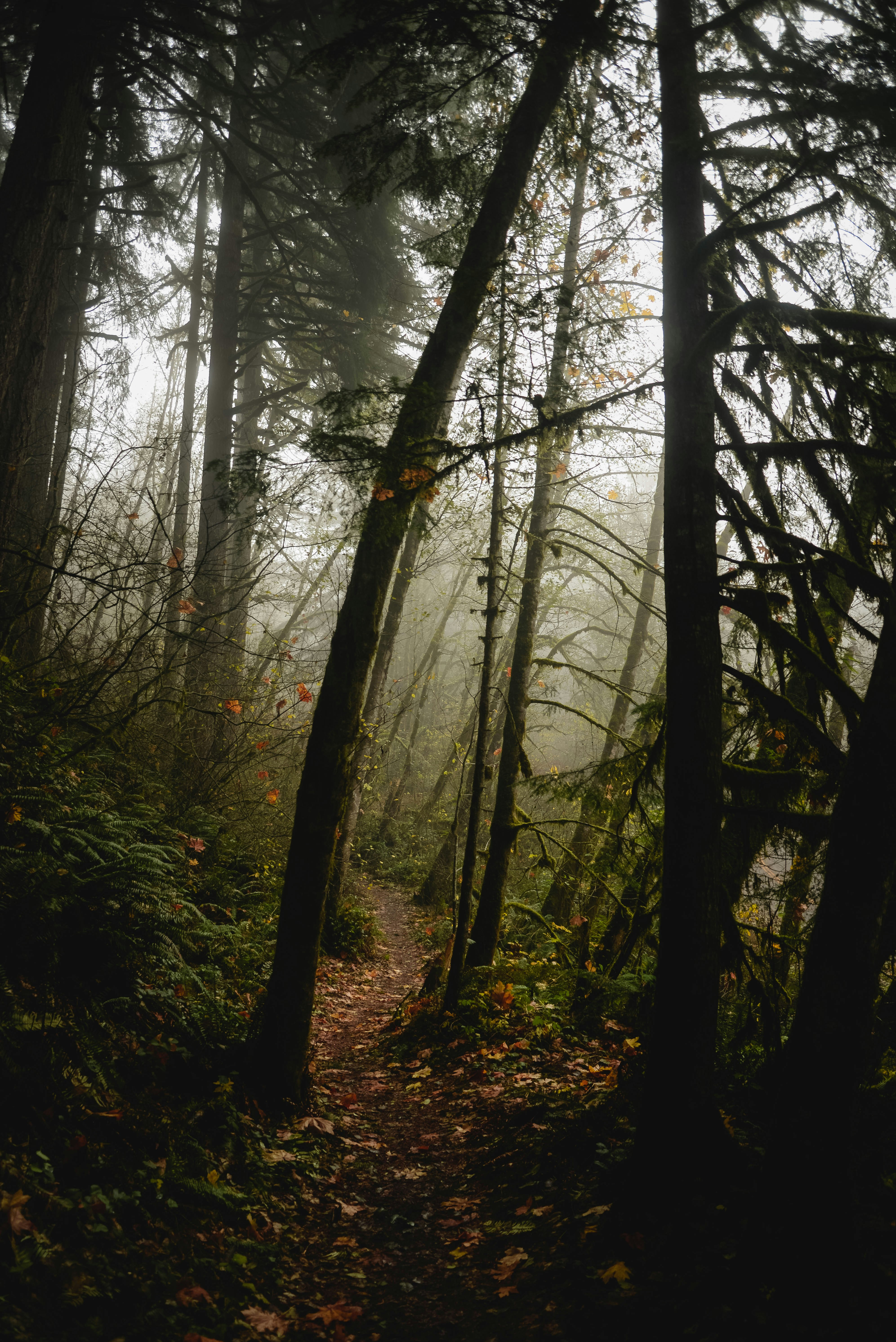 Photo by lorencutler