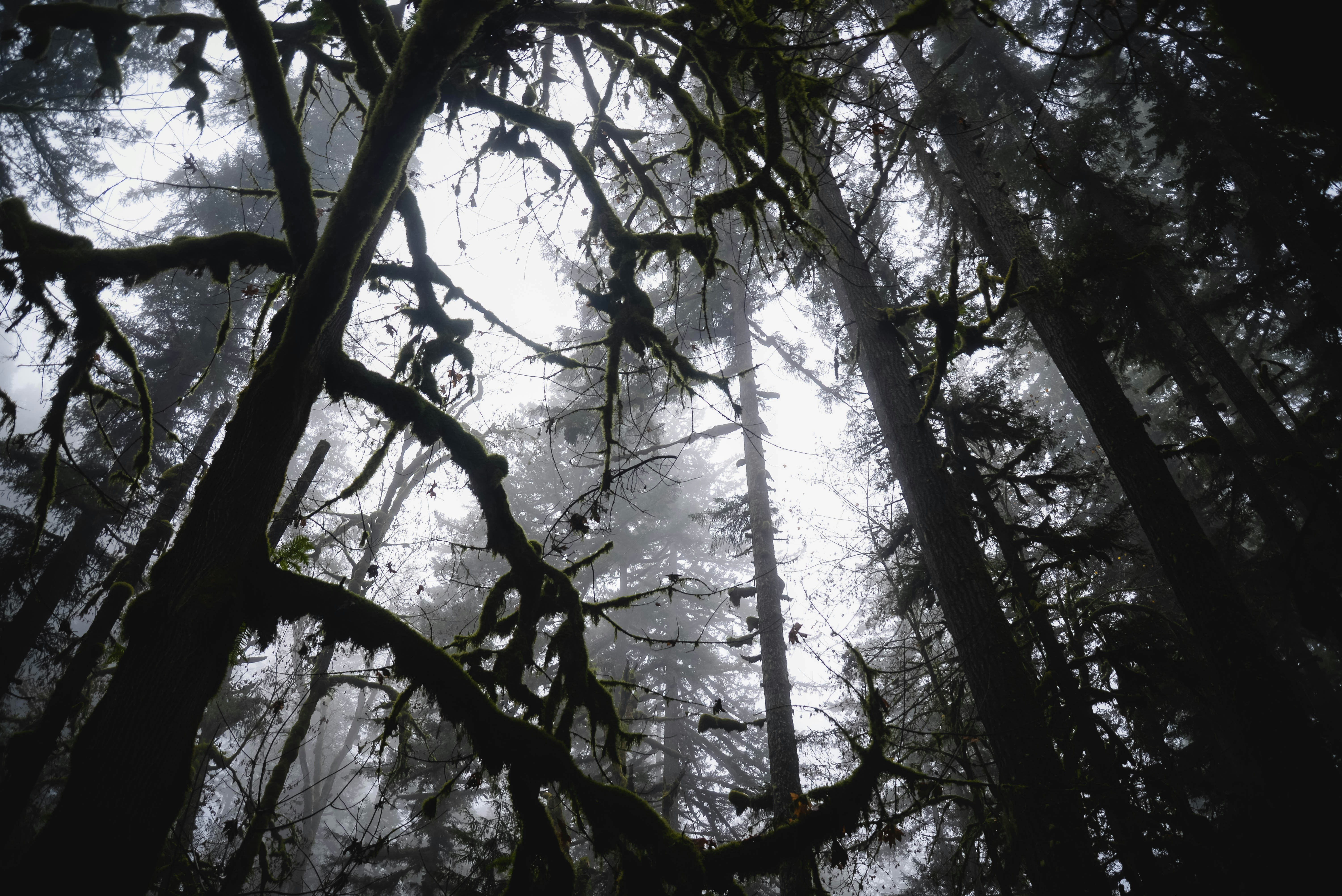 Photo by lorencutler