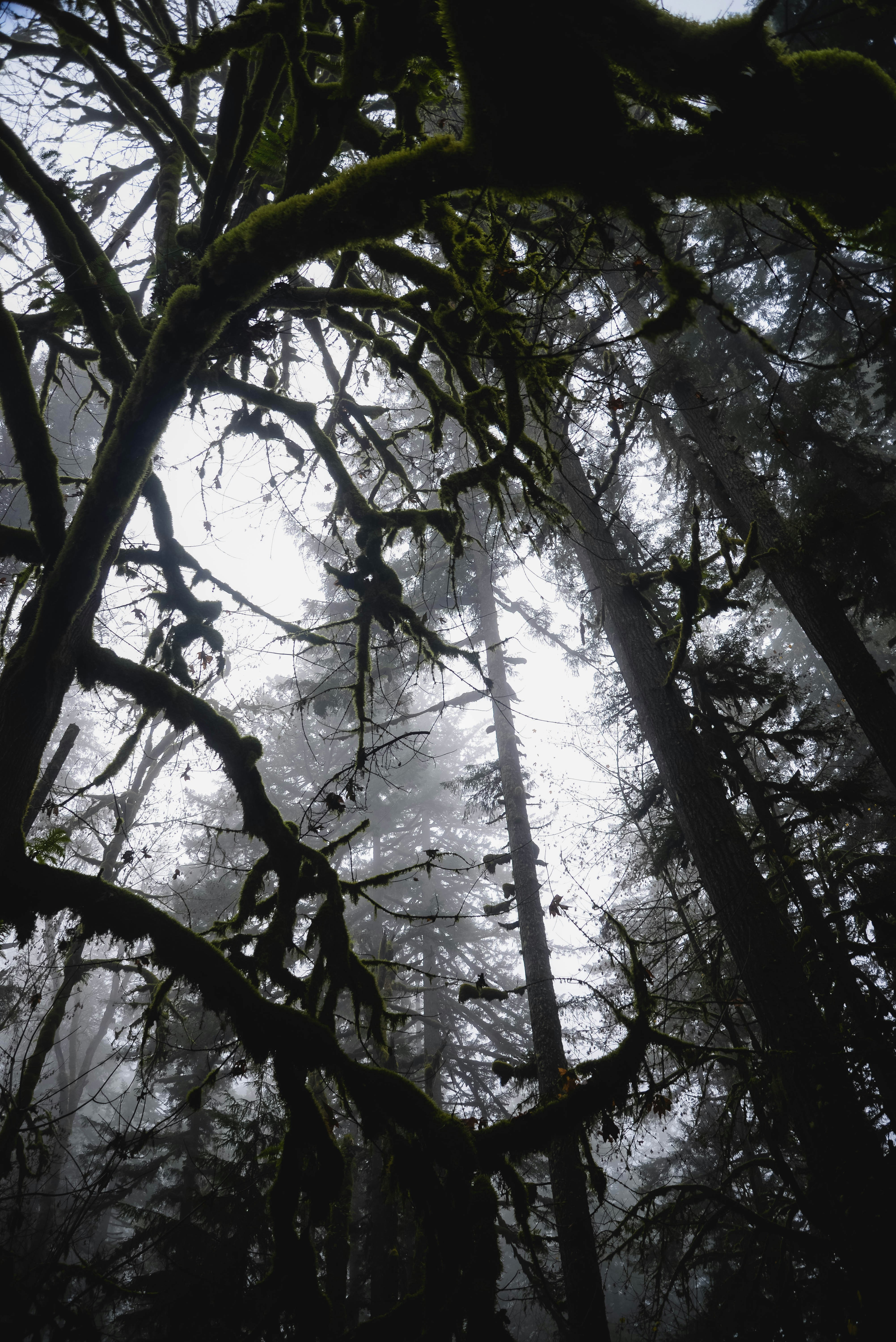 Photo by lorencutler