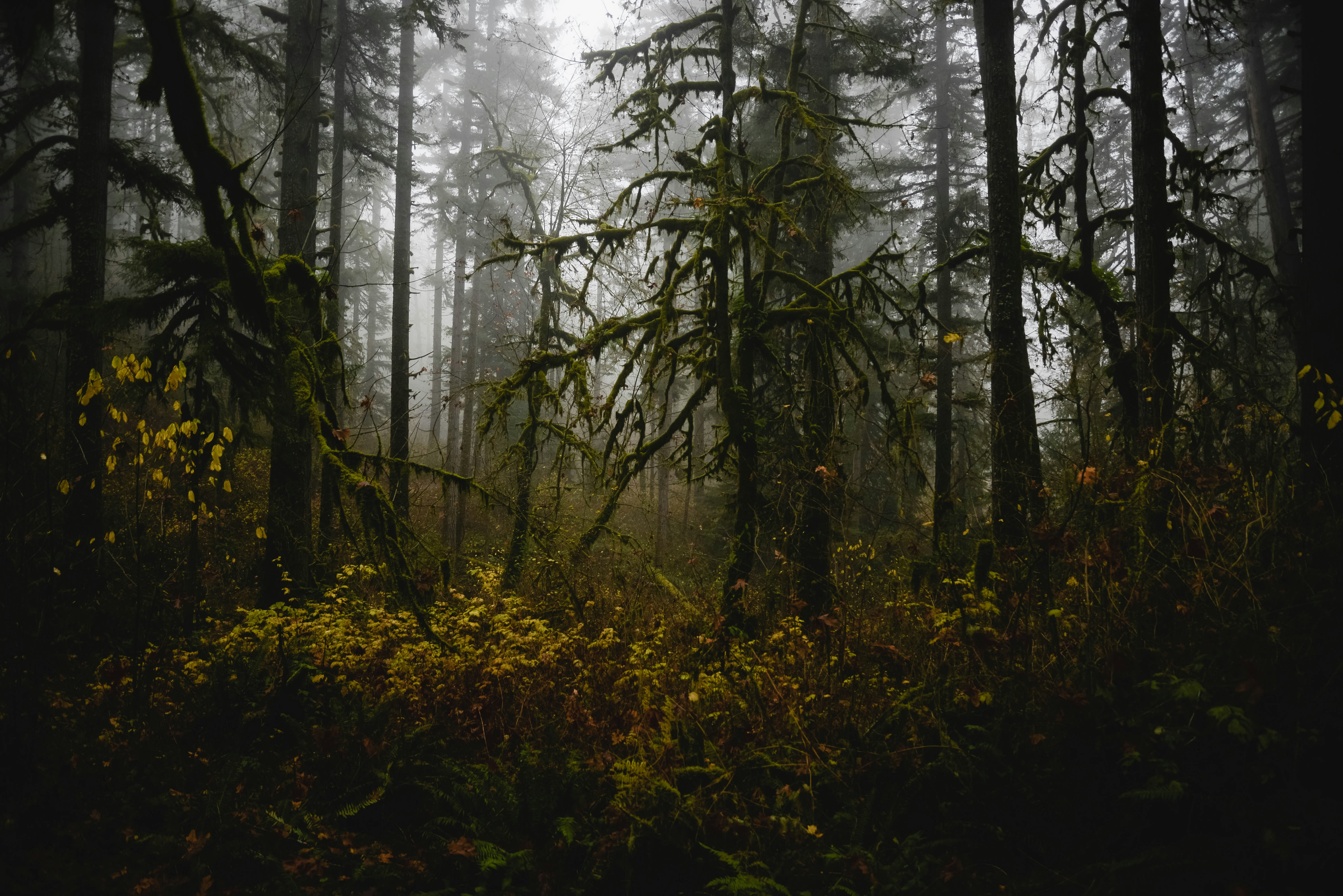 Photo by lorencutler