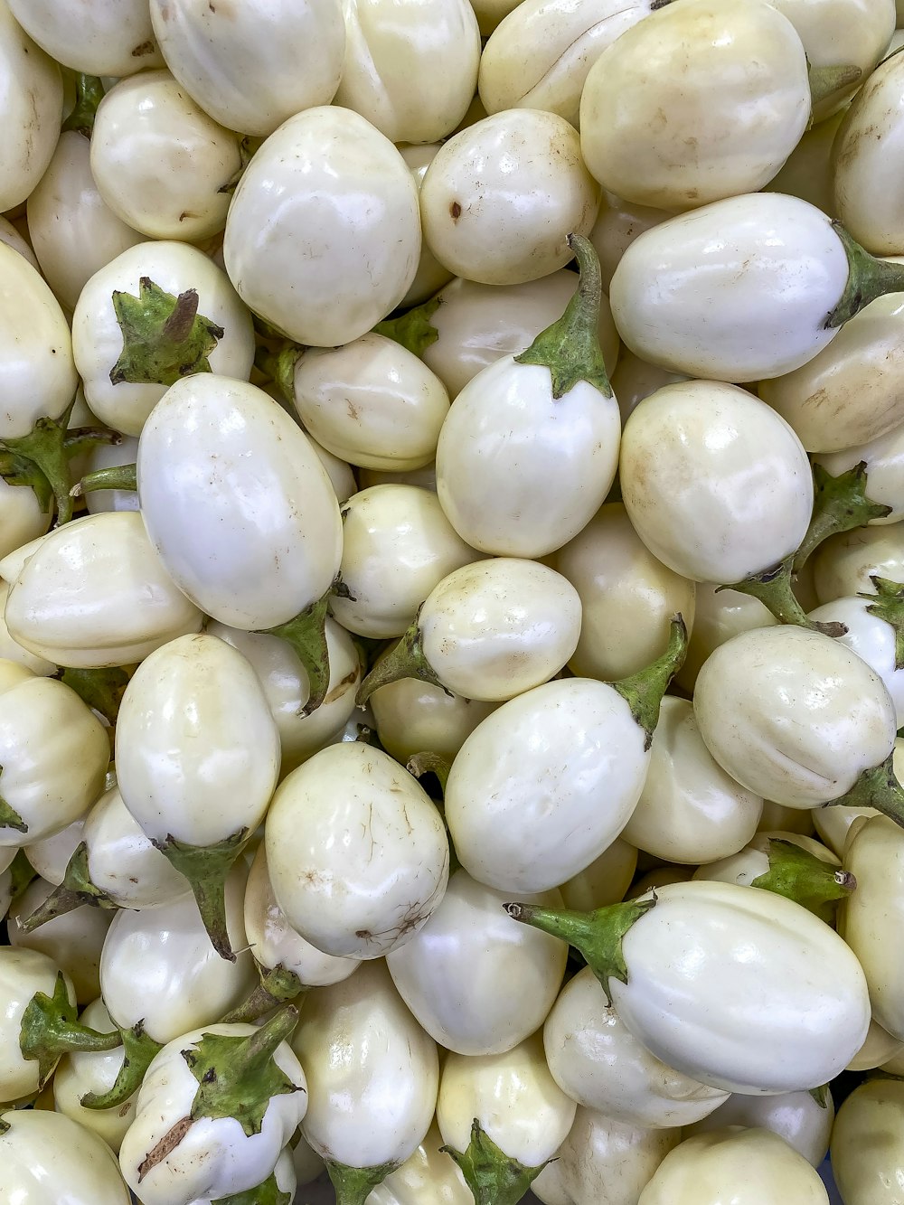 white round fruit on green leaves