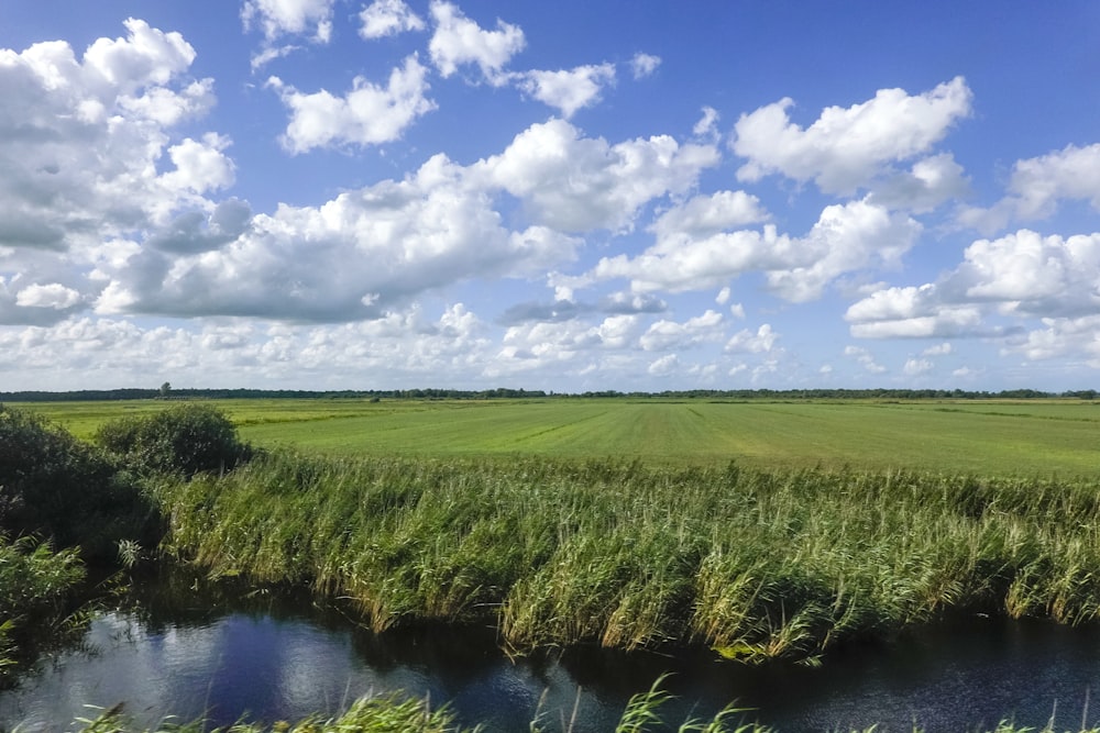 green grass field beside river under blue sky and white clouds during daytime