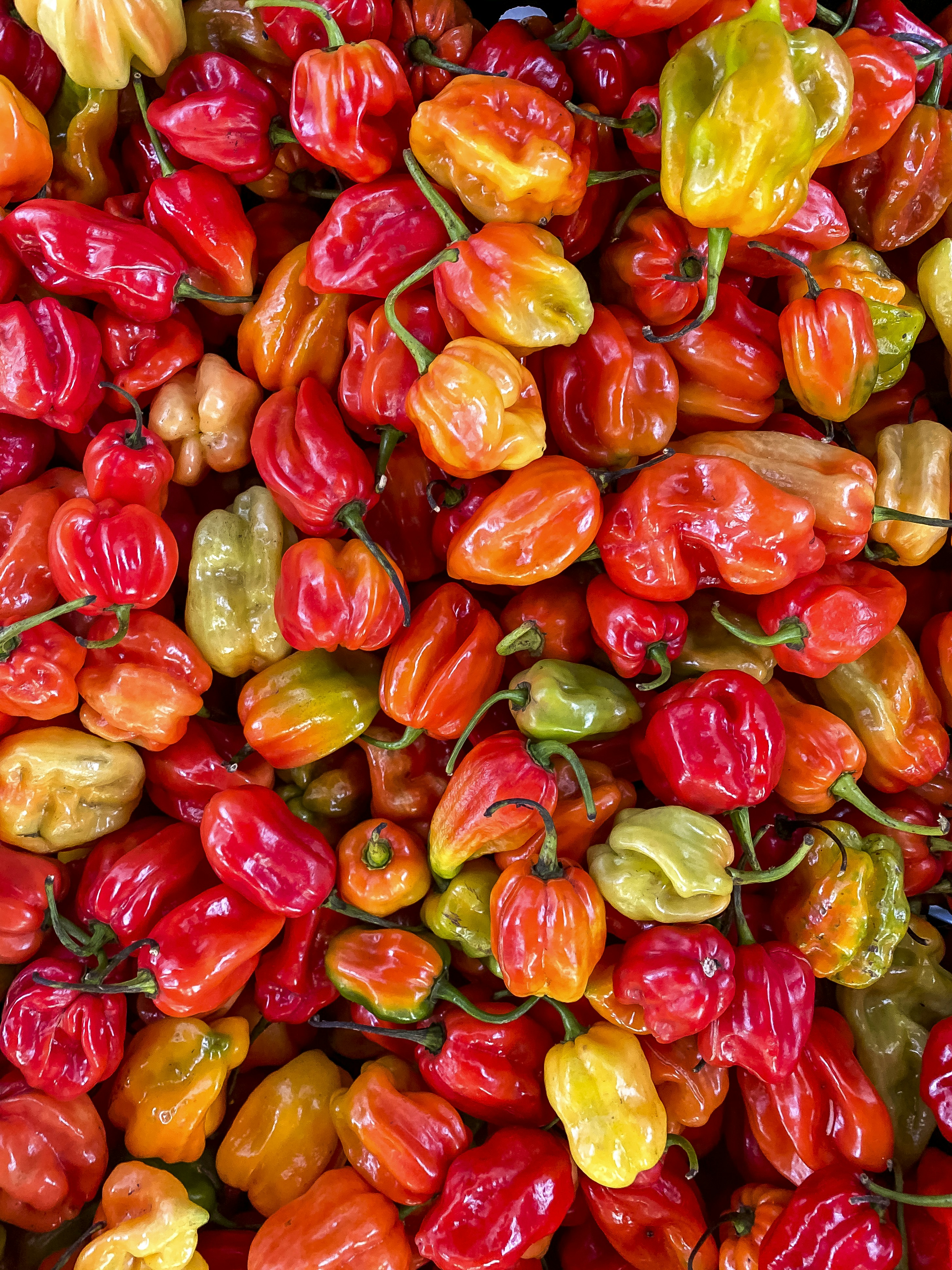 red pepper