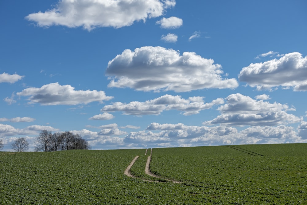 green grass field under blue sky and white clouds during daytime