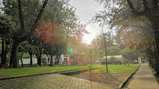 A serene park setting featuring lush green trees and a playground area with slides. Sunlight filters through the trees, creating a warm, gentle glow. A paved pathway runs through the park, adjacent to a grassy area where a large truck is parked near the trees.