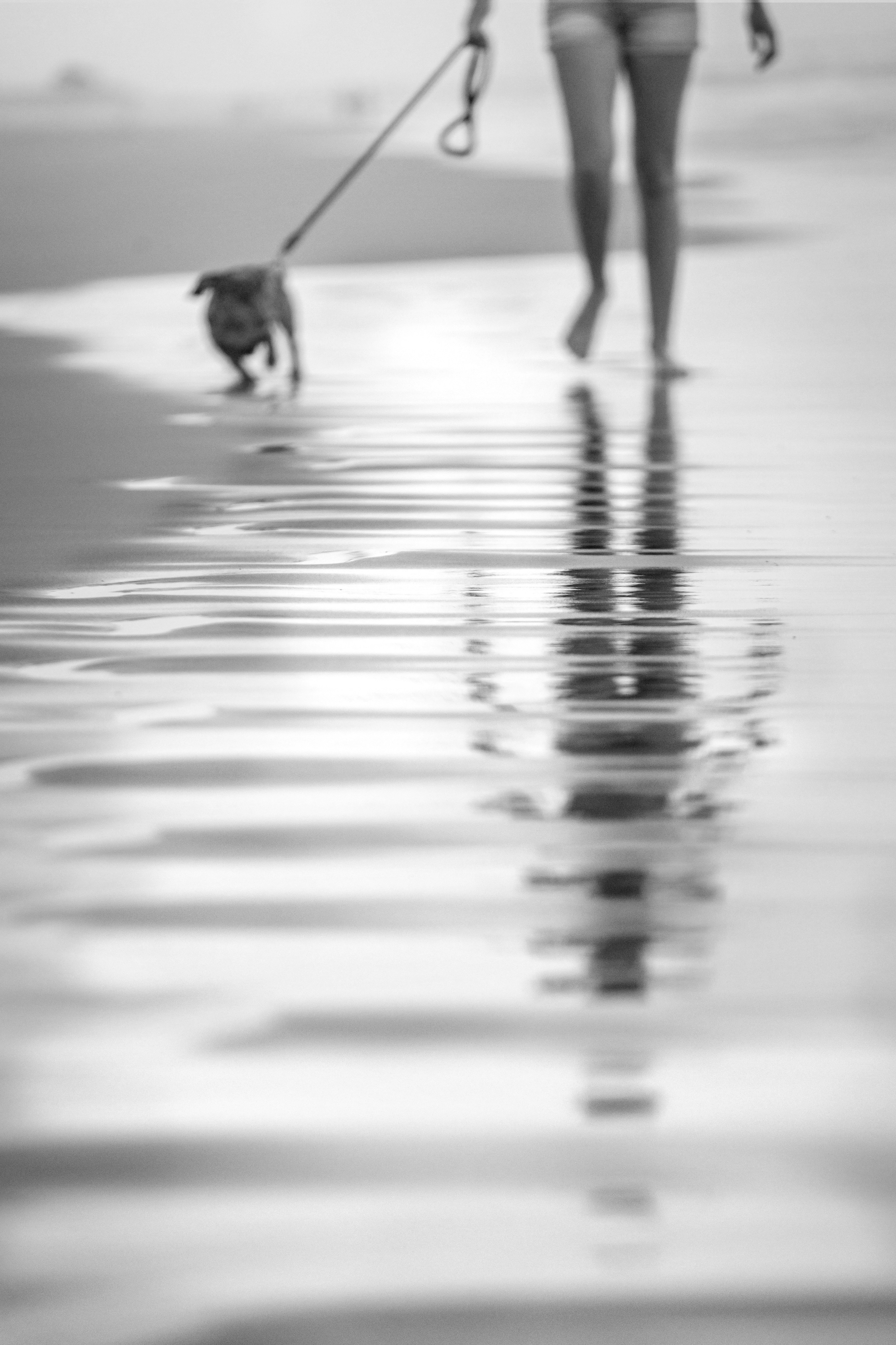 silhouette of people walking on wet ground