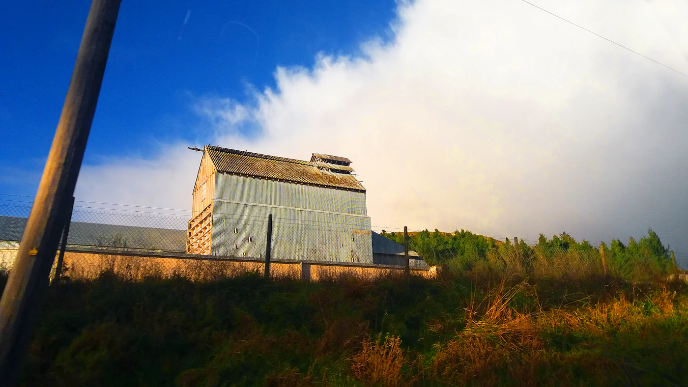 Weathered old barn standing in tall grass at sunset