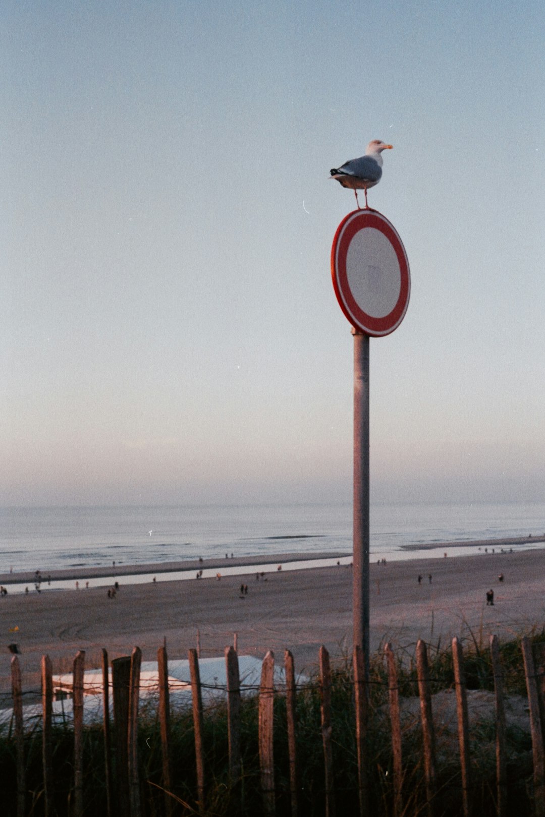 red and white basketball hoop near sea during daytime