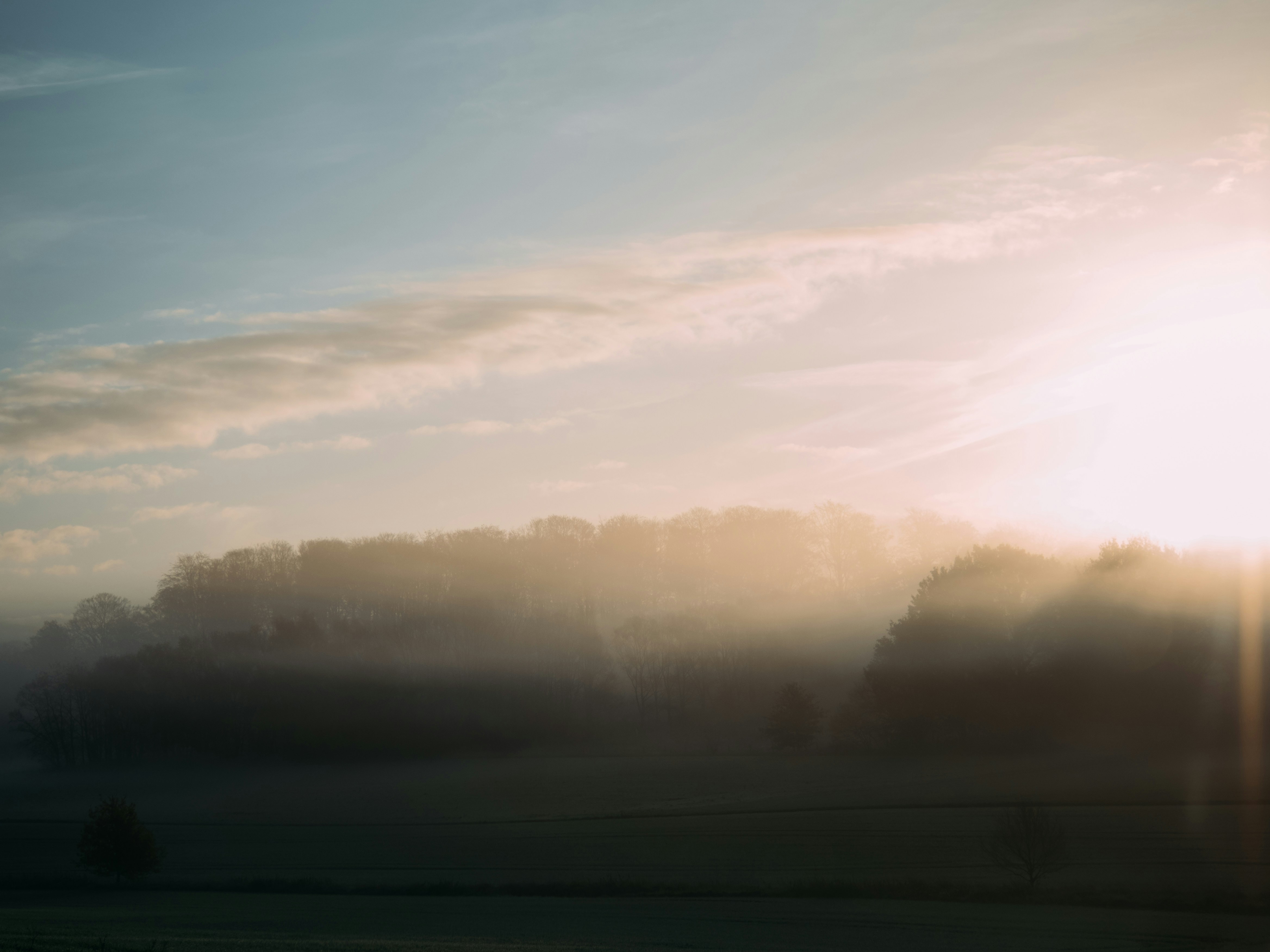 Photo by brechtdenil