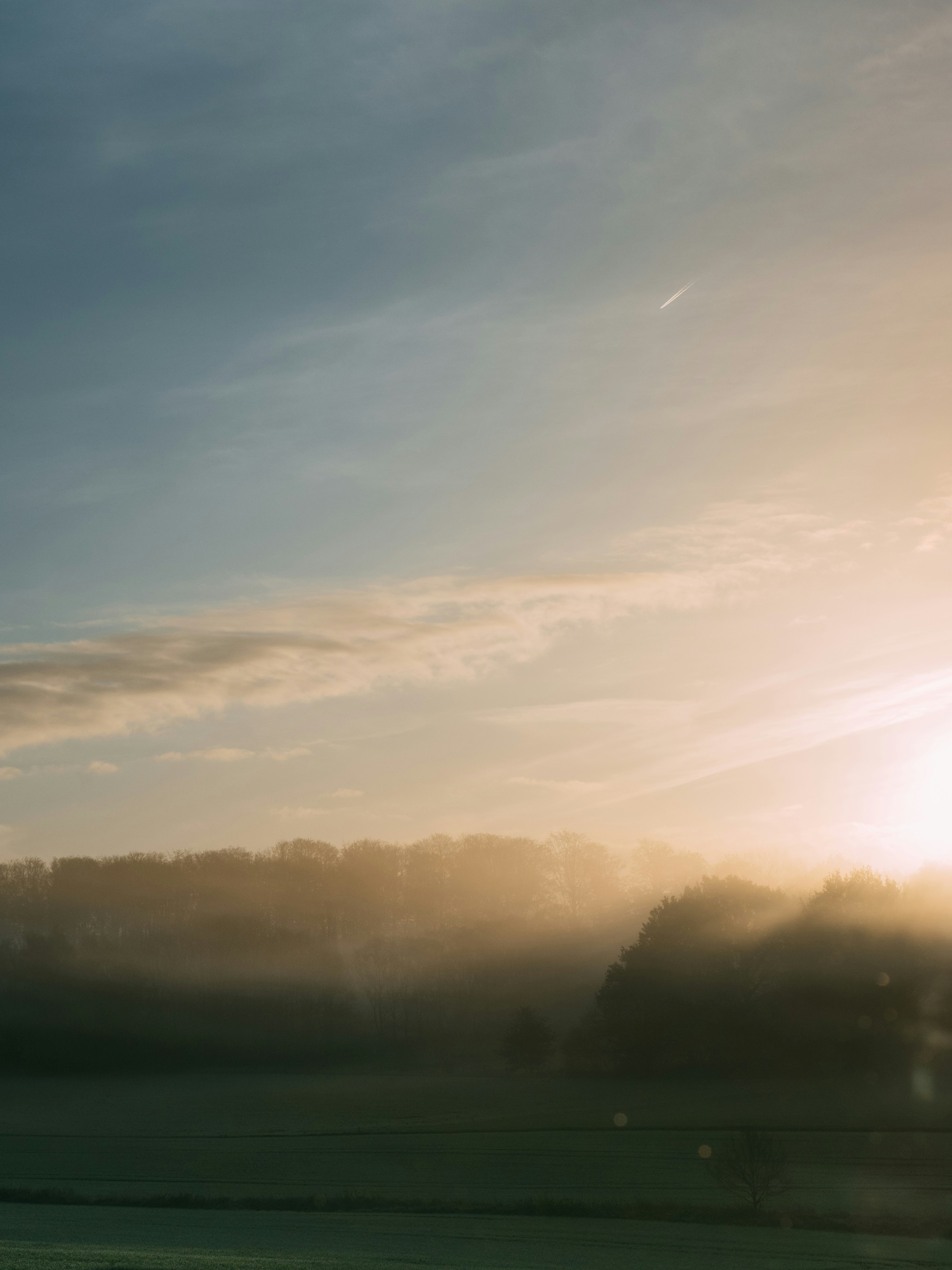 Photo by brechtdenil