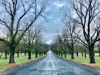 gray asphalt road between green trees under white clouds and blue sky during daytime