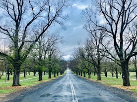 gray asphalt road between green trees under white clouds and blue sky during daytime