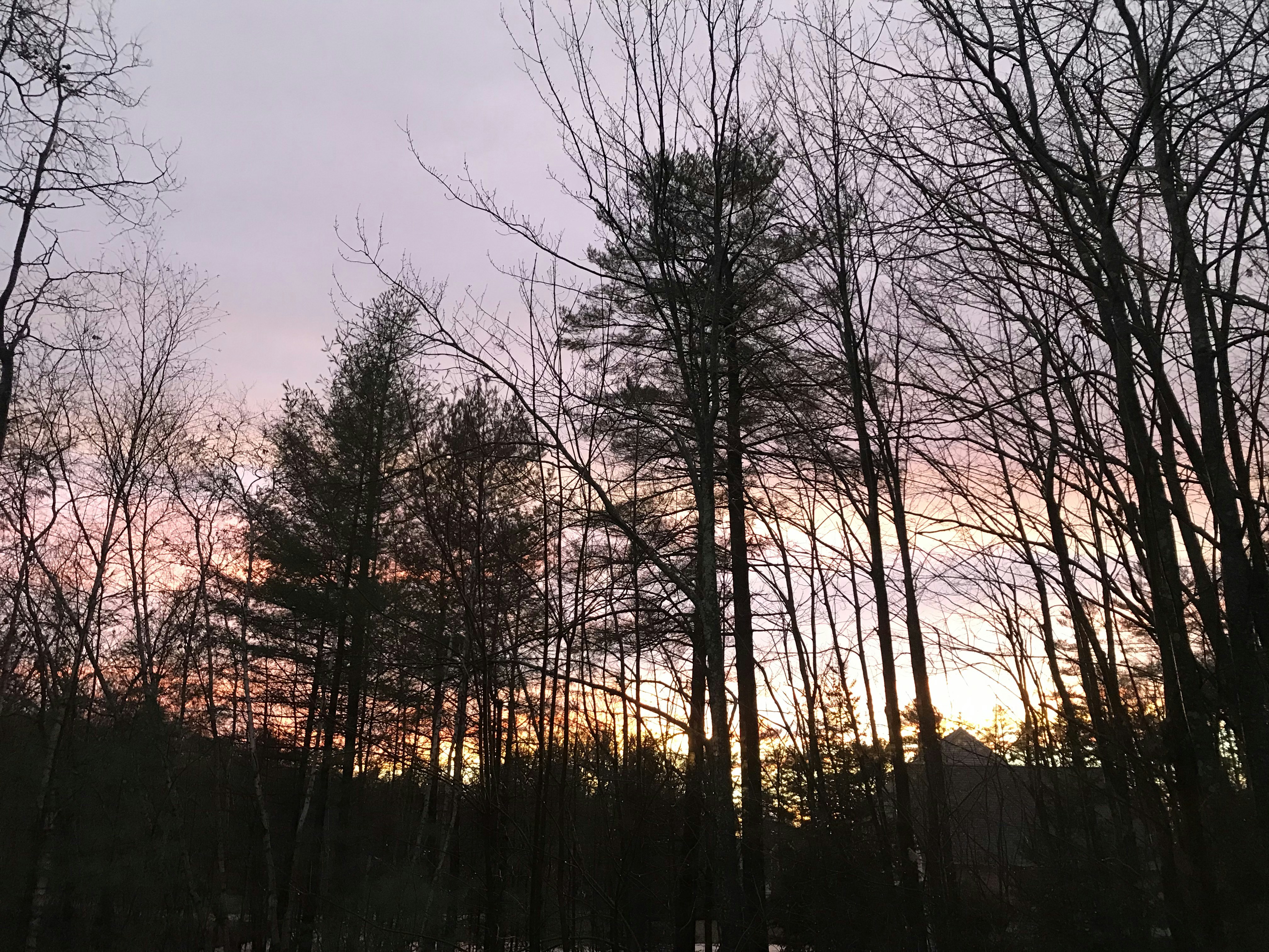 Photo by griffy_port