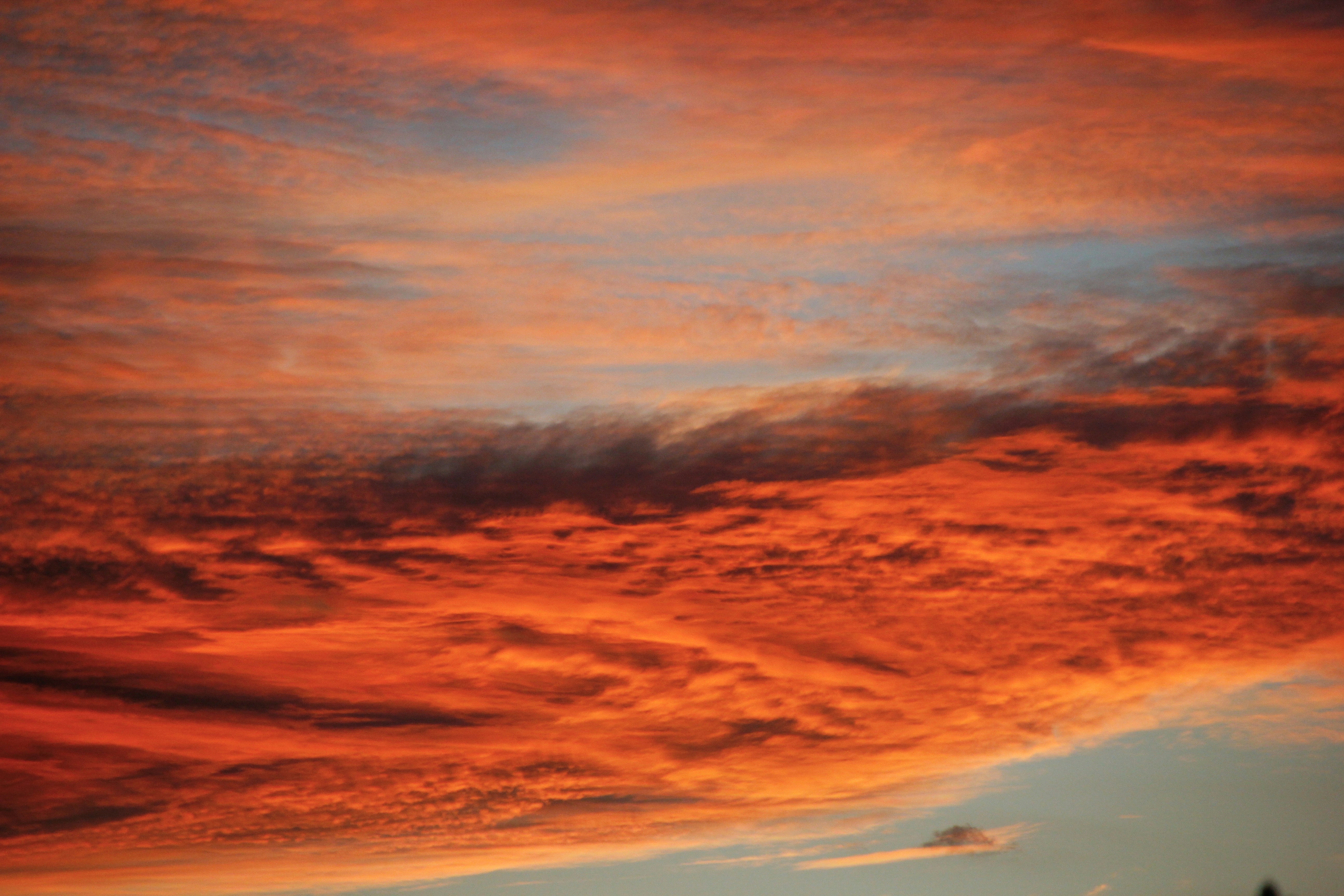 Photo by nao_takabayashi