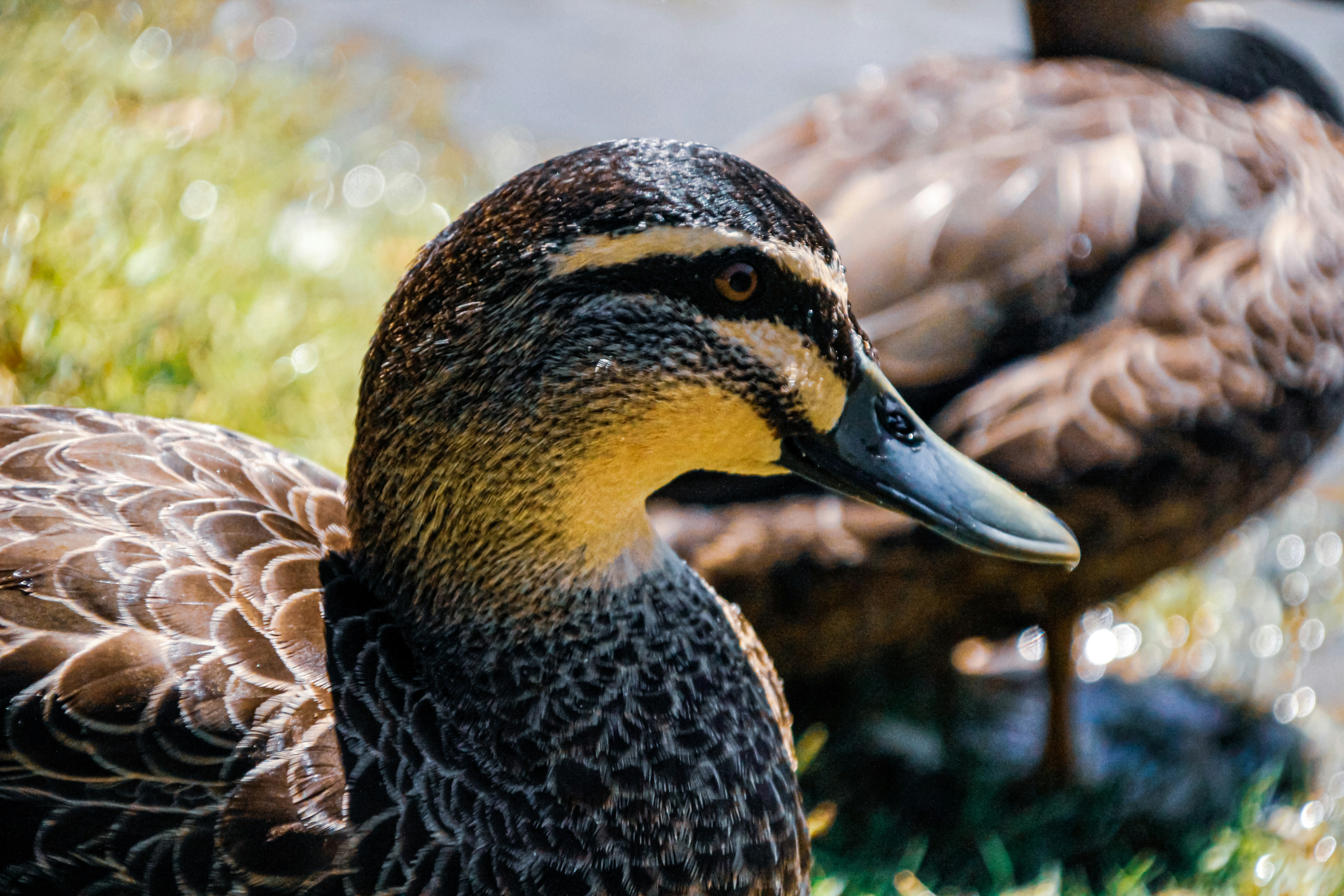 Photo by nao_takabayashi