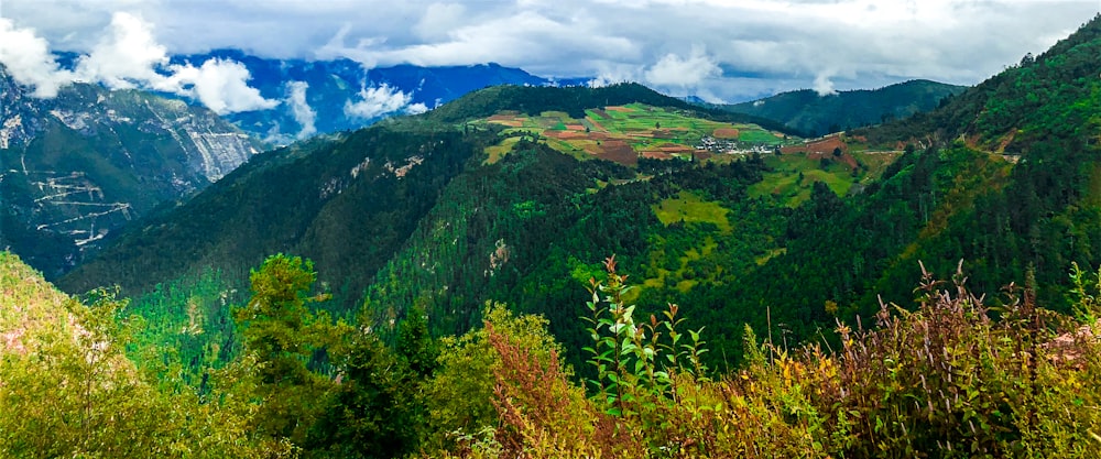 green and brown trees on mountain under white clouds and blue sky during daytime