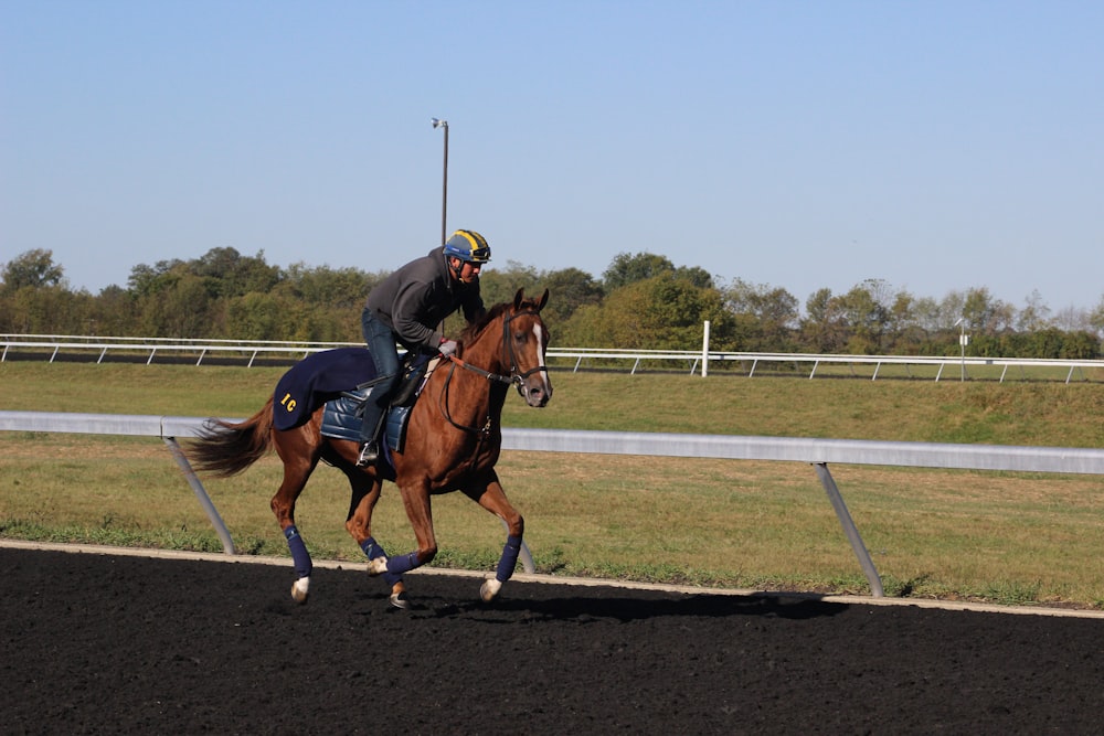 man in black jacket riding brown horse during daytime