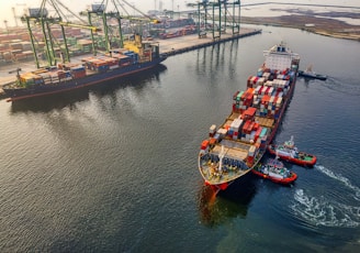 red and blue cargo ship on body of water during daytime